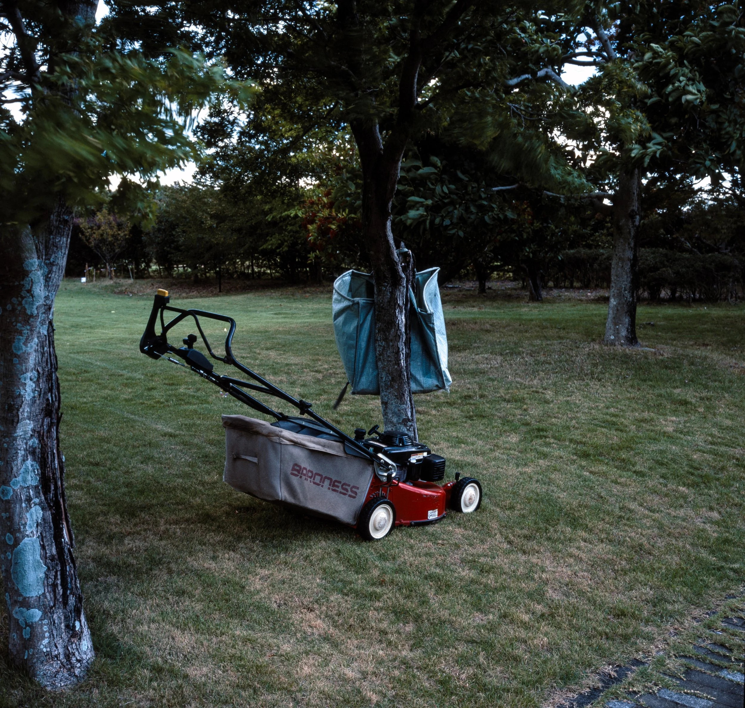 Wind on Grounds - Hilton Odawara