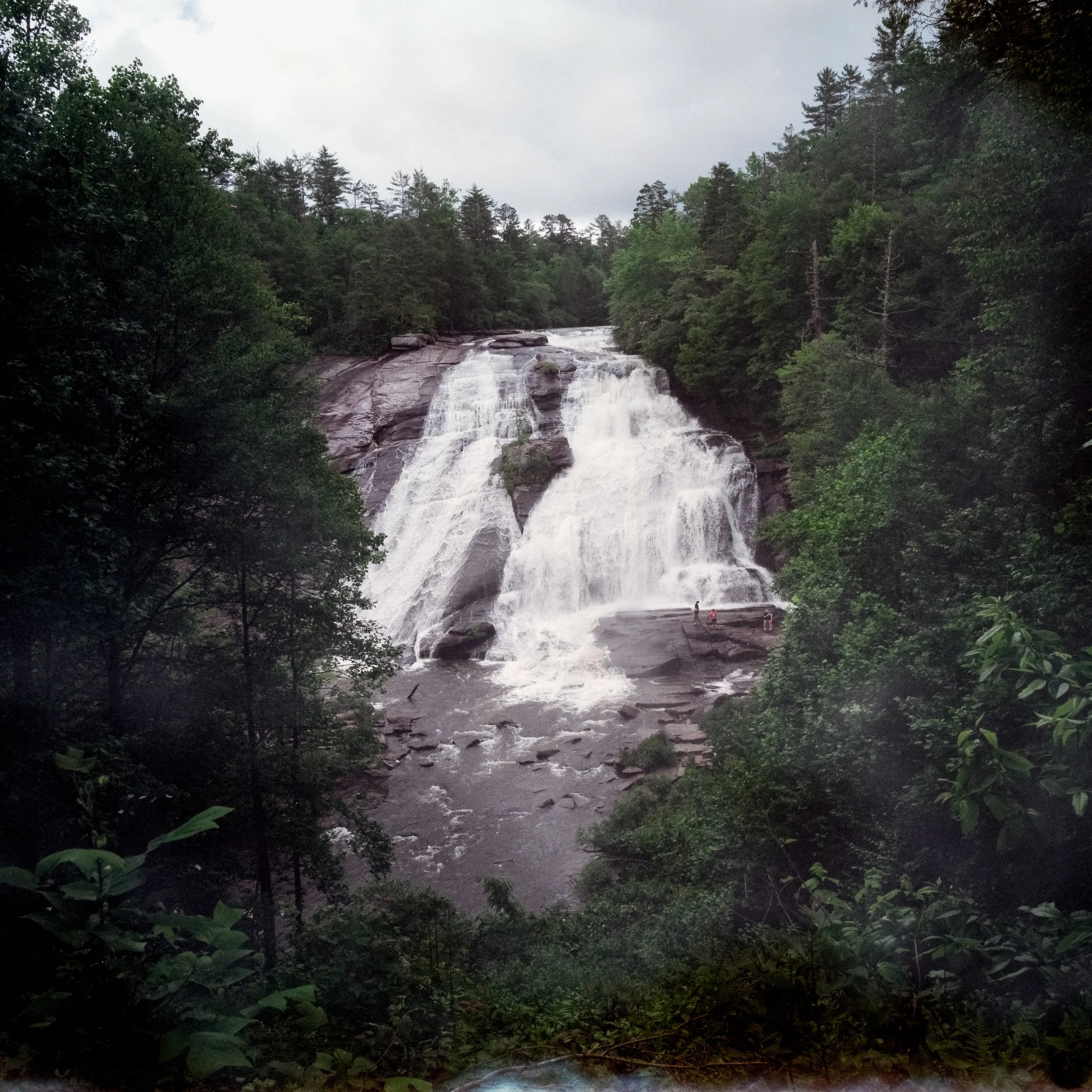 Pisgah Forest, NC