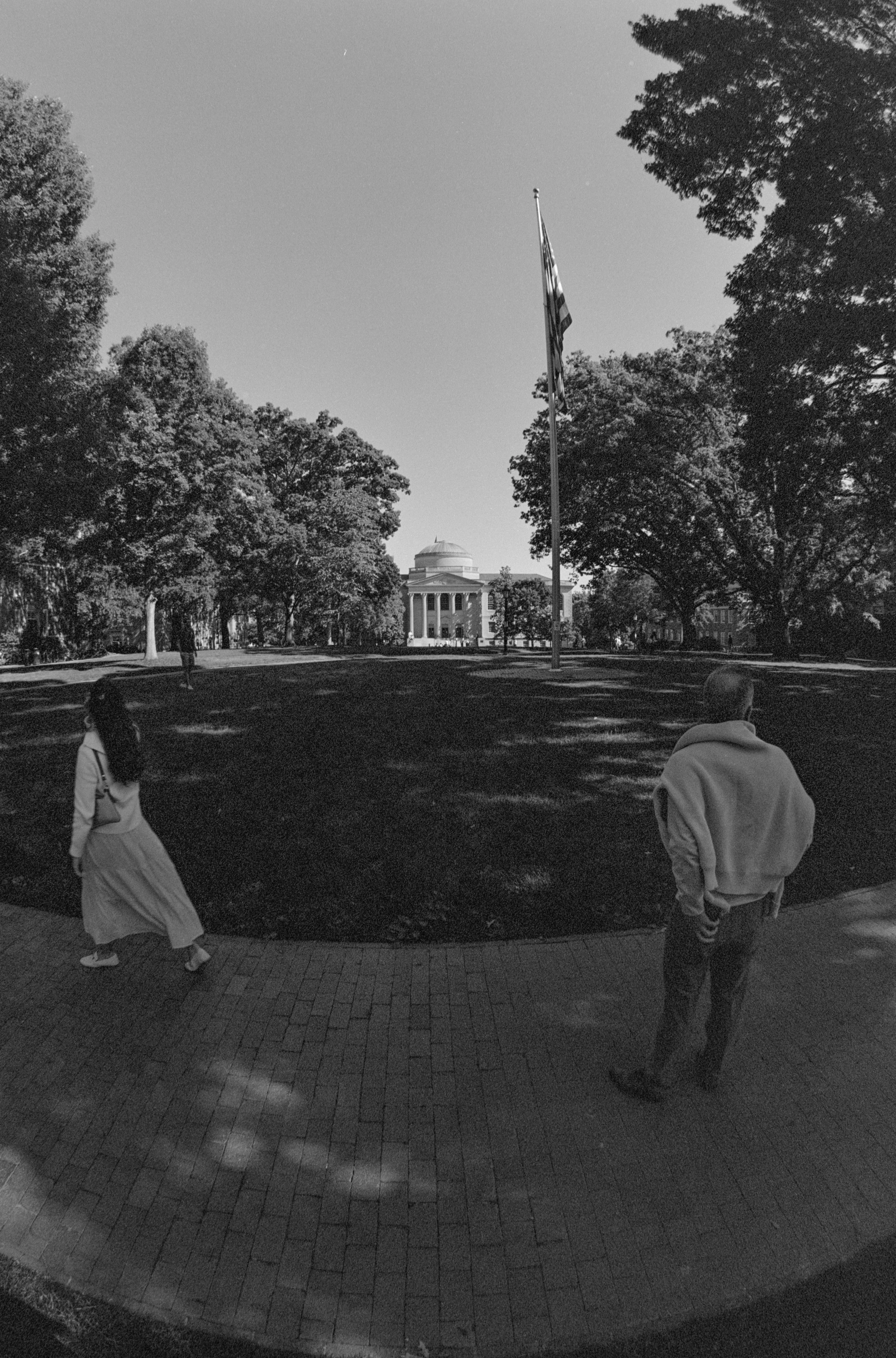 2456-23.jpg