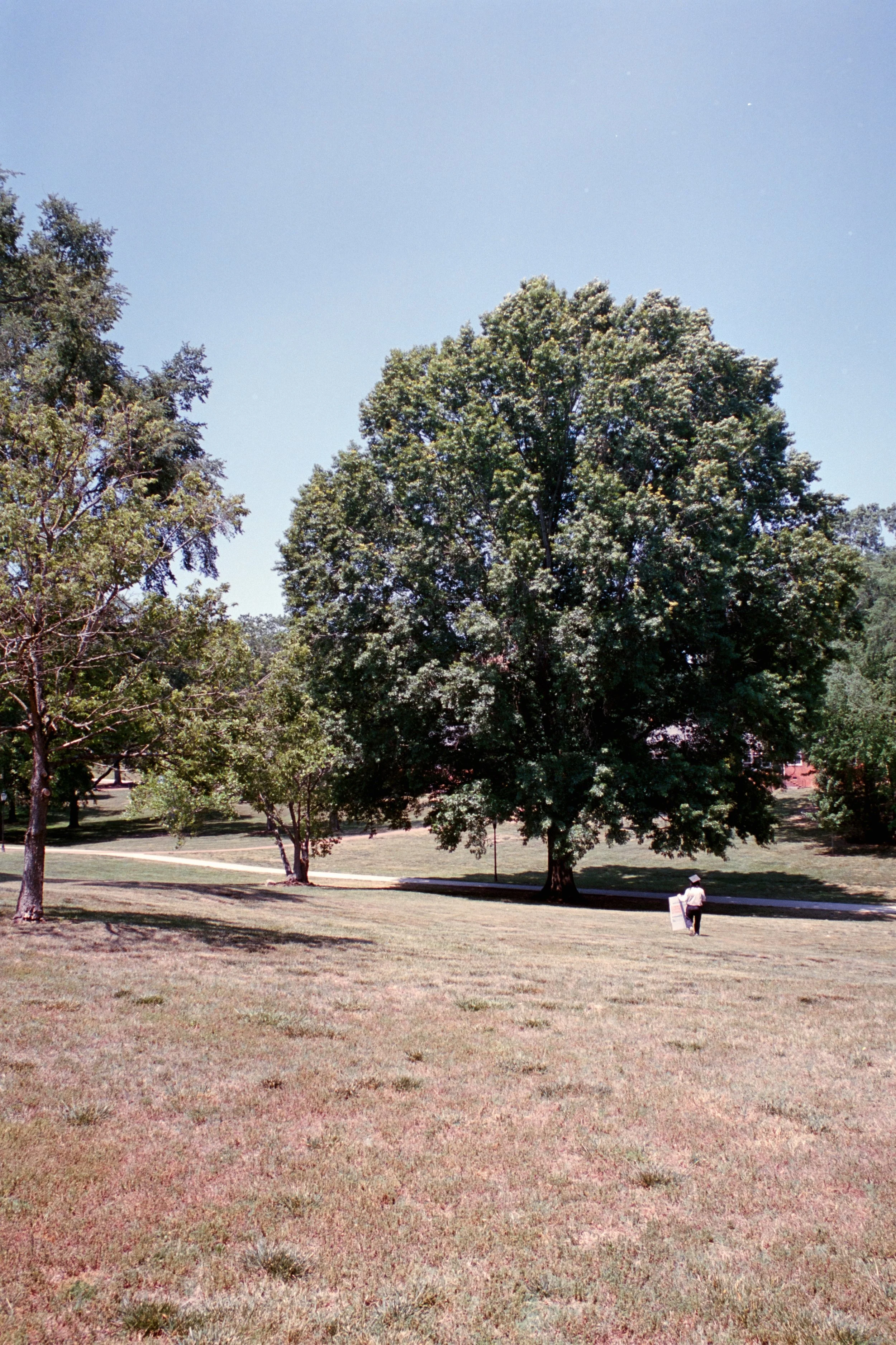 3012-16.jpg