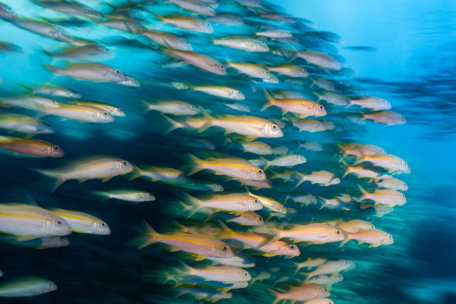 GYM04539.jpg