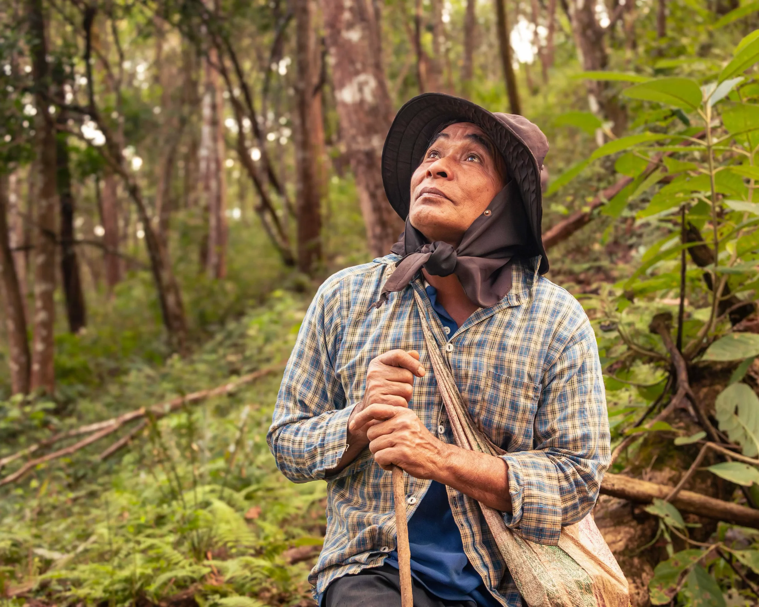 An elephant mahout from a conservation project in Northern Thailand watches birds in the trees.
