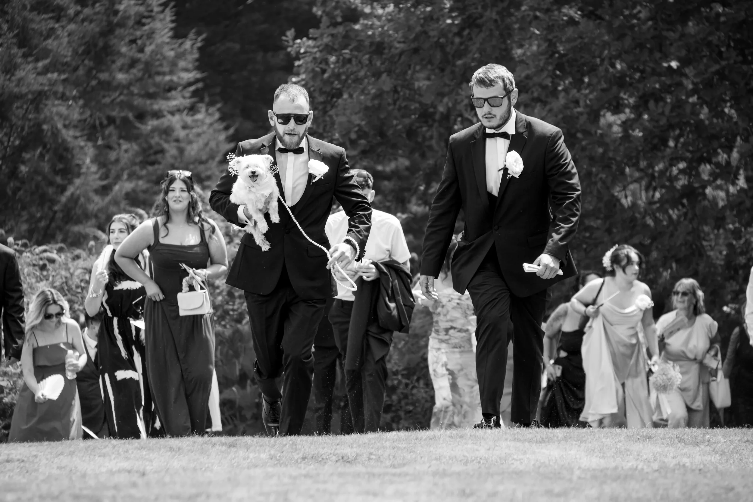 groomsmen-with-dog-leading-guests-up-hill-after-ceremony-talhenbont-hall-wedding.webp