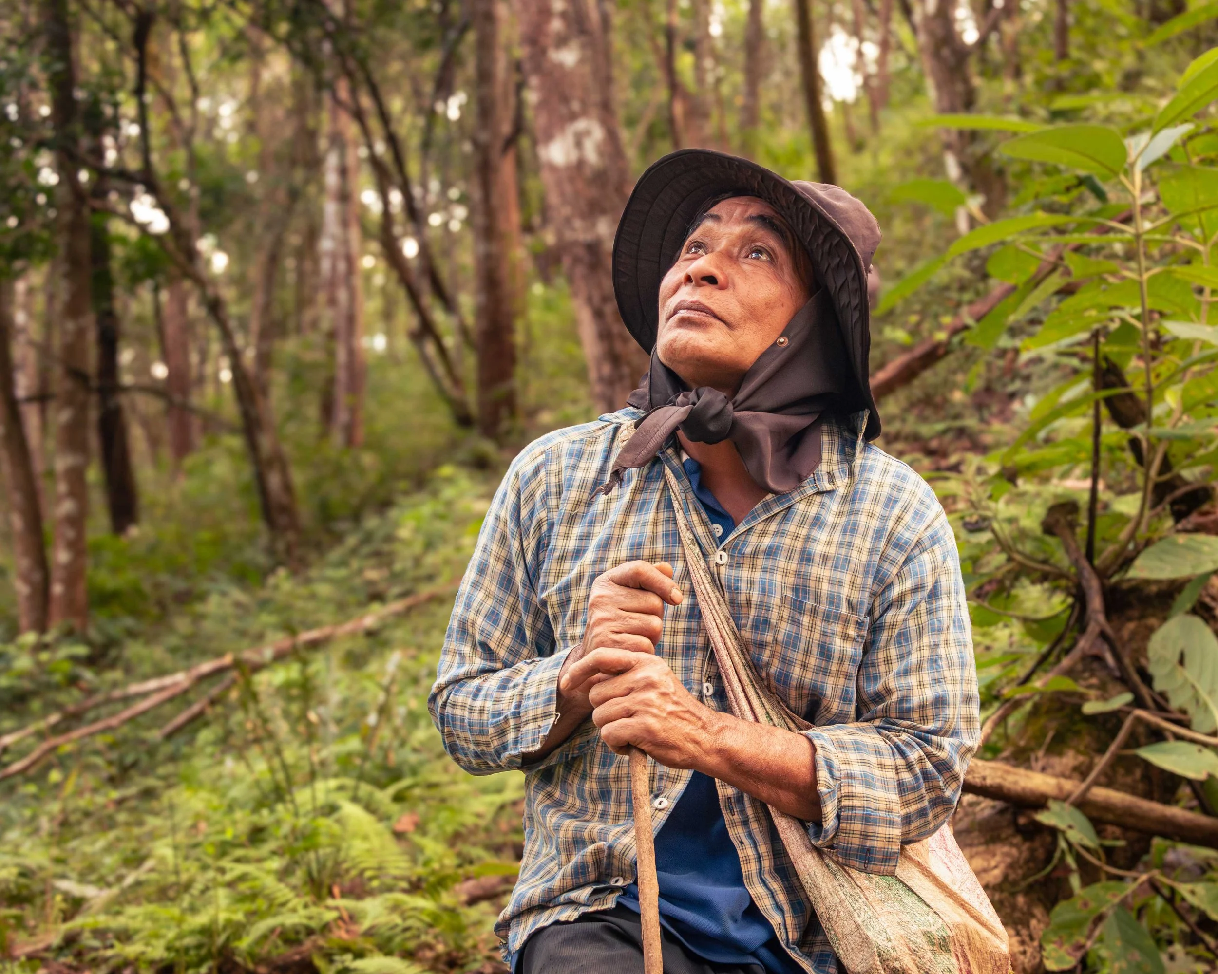 An elephant mahout from a conservation project in Northern Thailand watches birds in the trees.