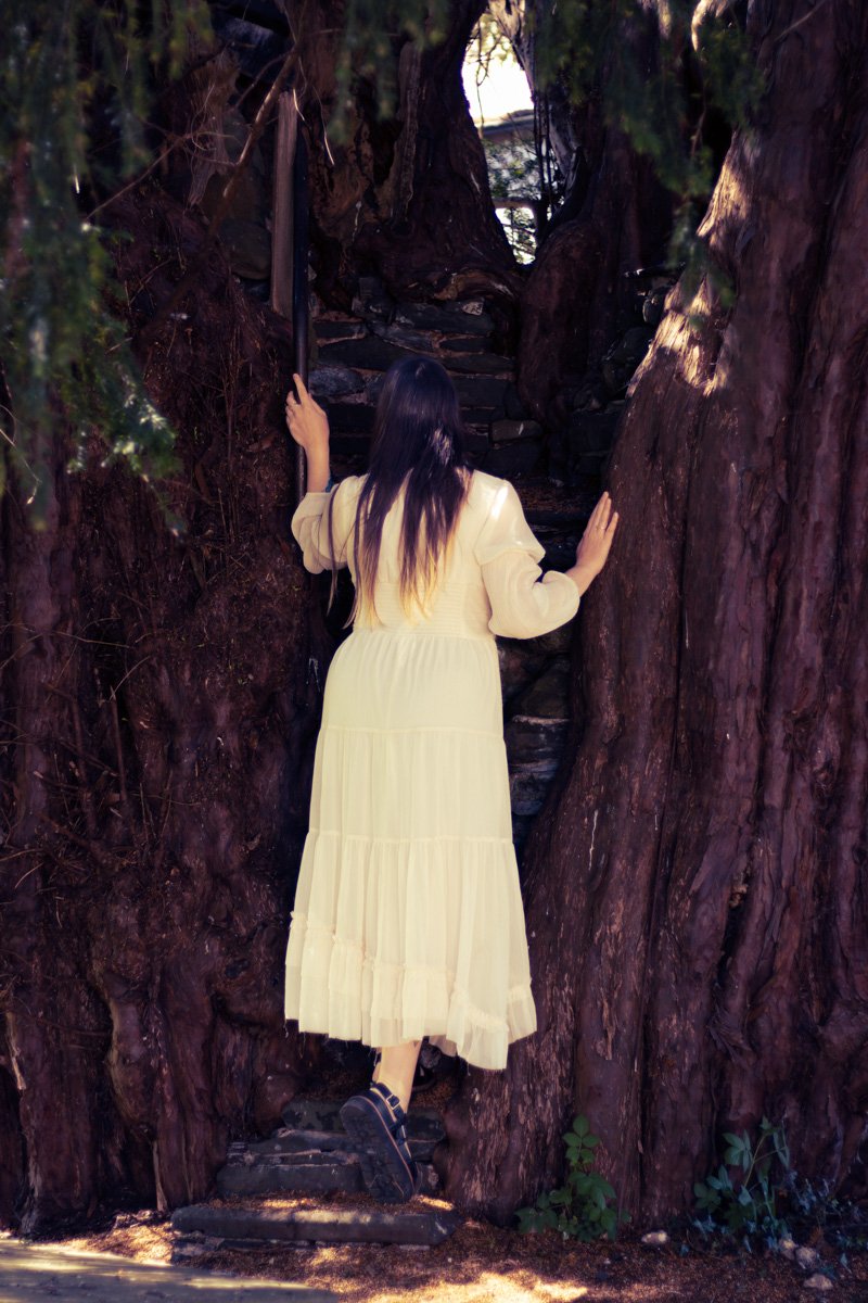 Brand image of Rae in a long cream dress standing on a medieval stone staircase built into the middle of an elder tree, with her back to the camera, holding onto the trunk on either side of her.