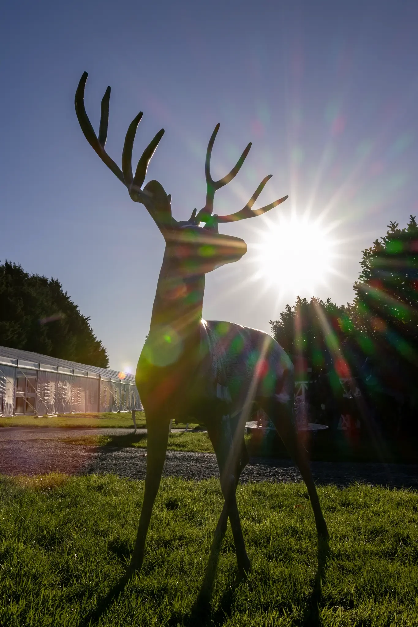 north wales product photographer- outdoor bronze deer statue.webp