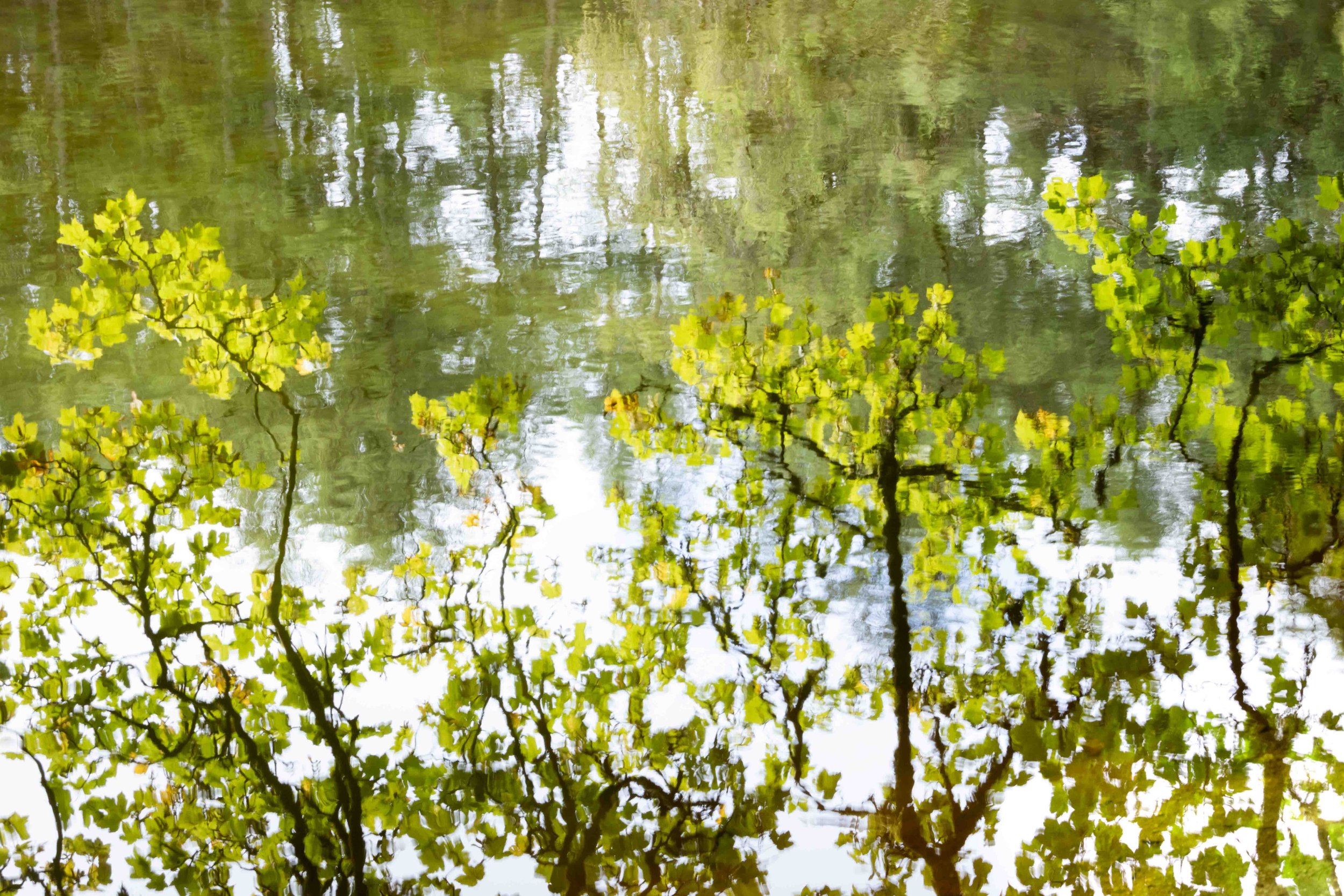 Reflections on Monet - Sea Rae Photography