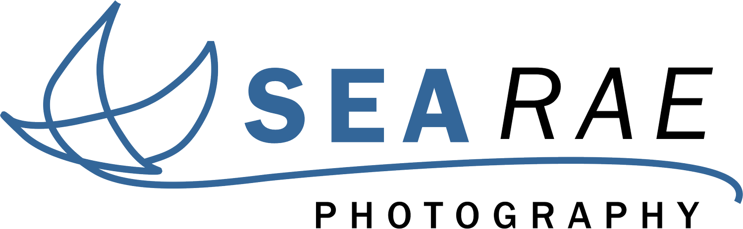 Sea Rae Photography