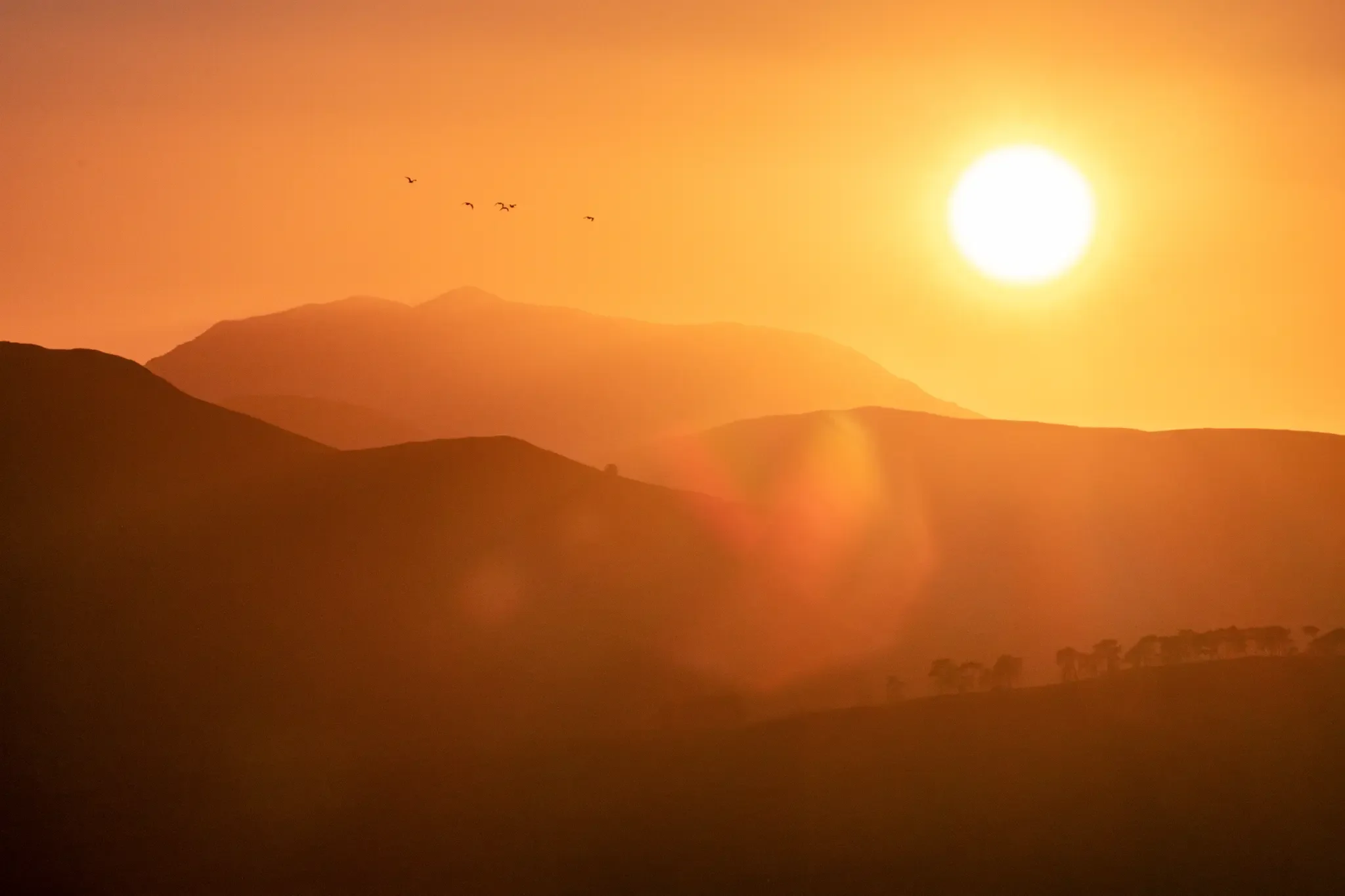 Molten Mountains.webp