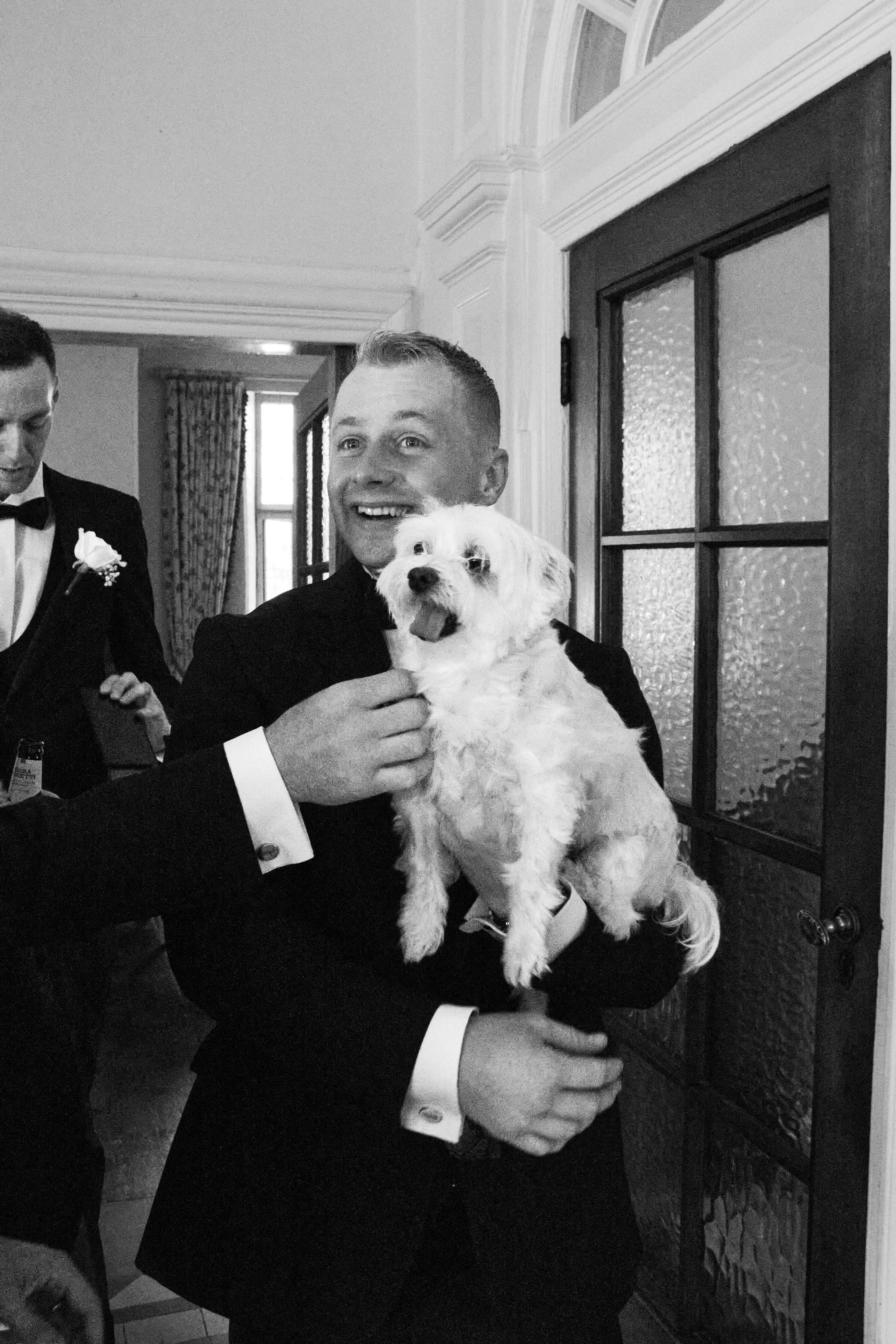 groom-catches-escaped-dog-talhenbont-hall-wedding.webp