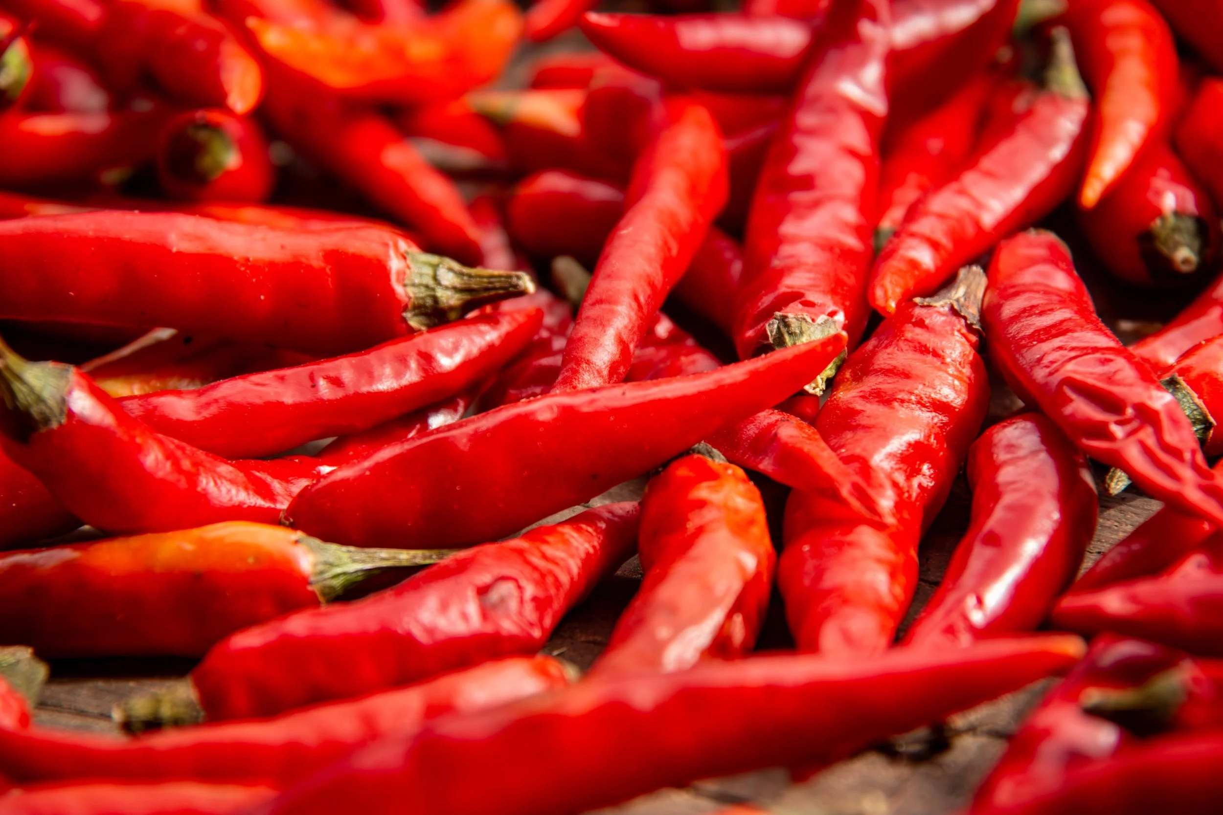 Organic chillies drying in the sun after being harvested by Karen Hill Tribe villagers in Huay Pakkoot.