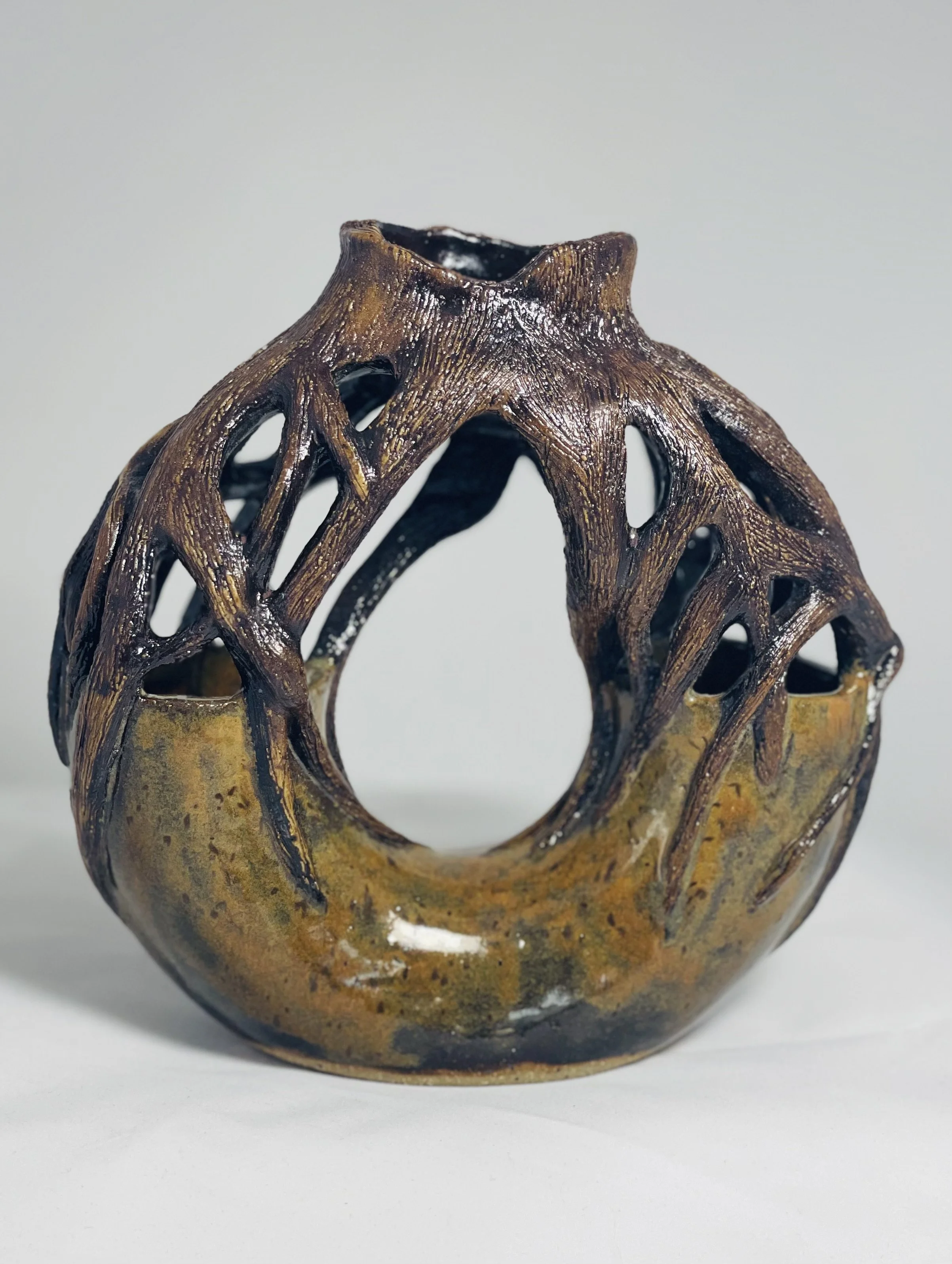 growing new roots ring vase $200