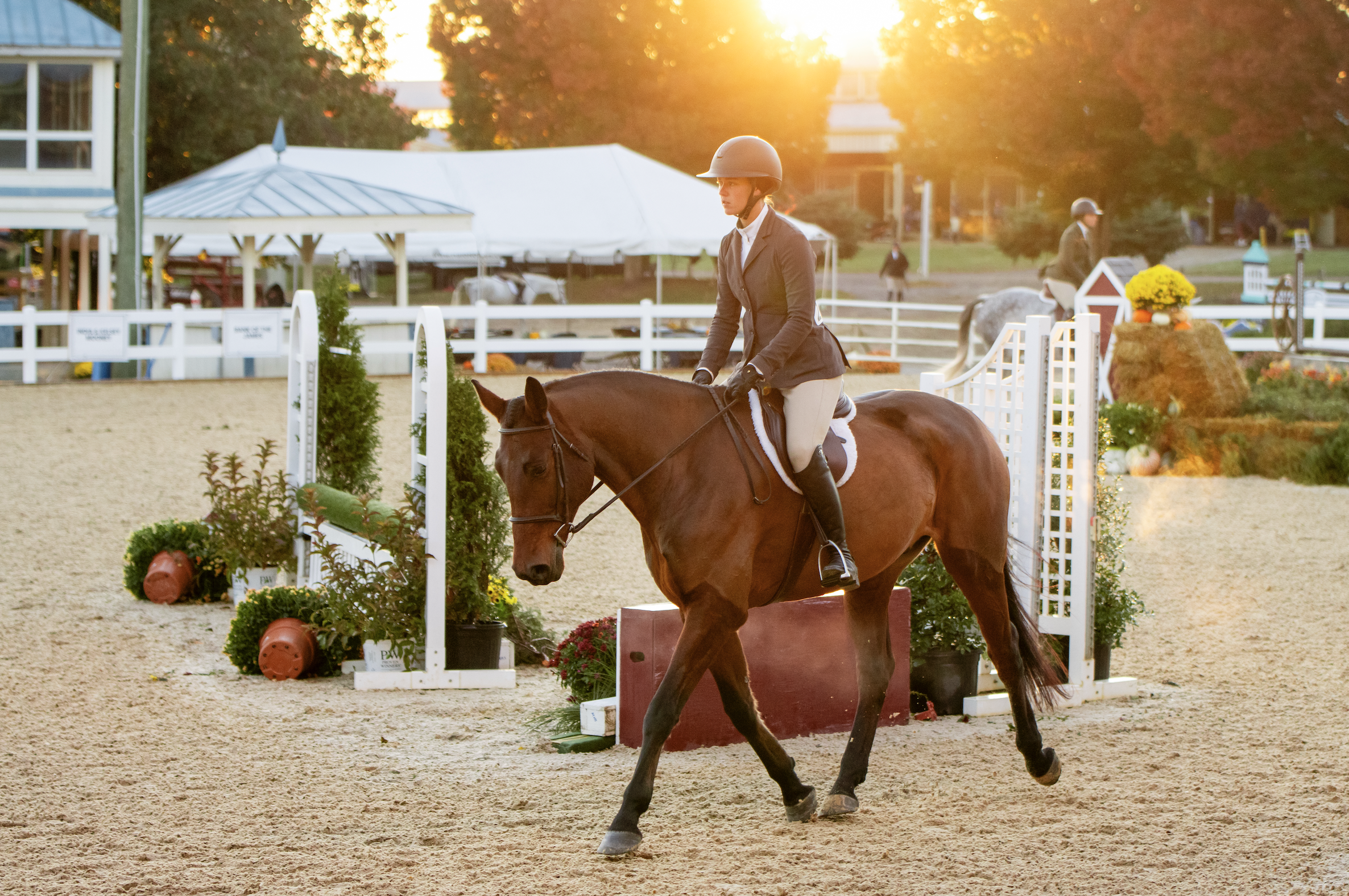 Wrapping Up an Incredible Year at the SWVHJA Annual