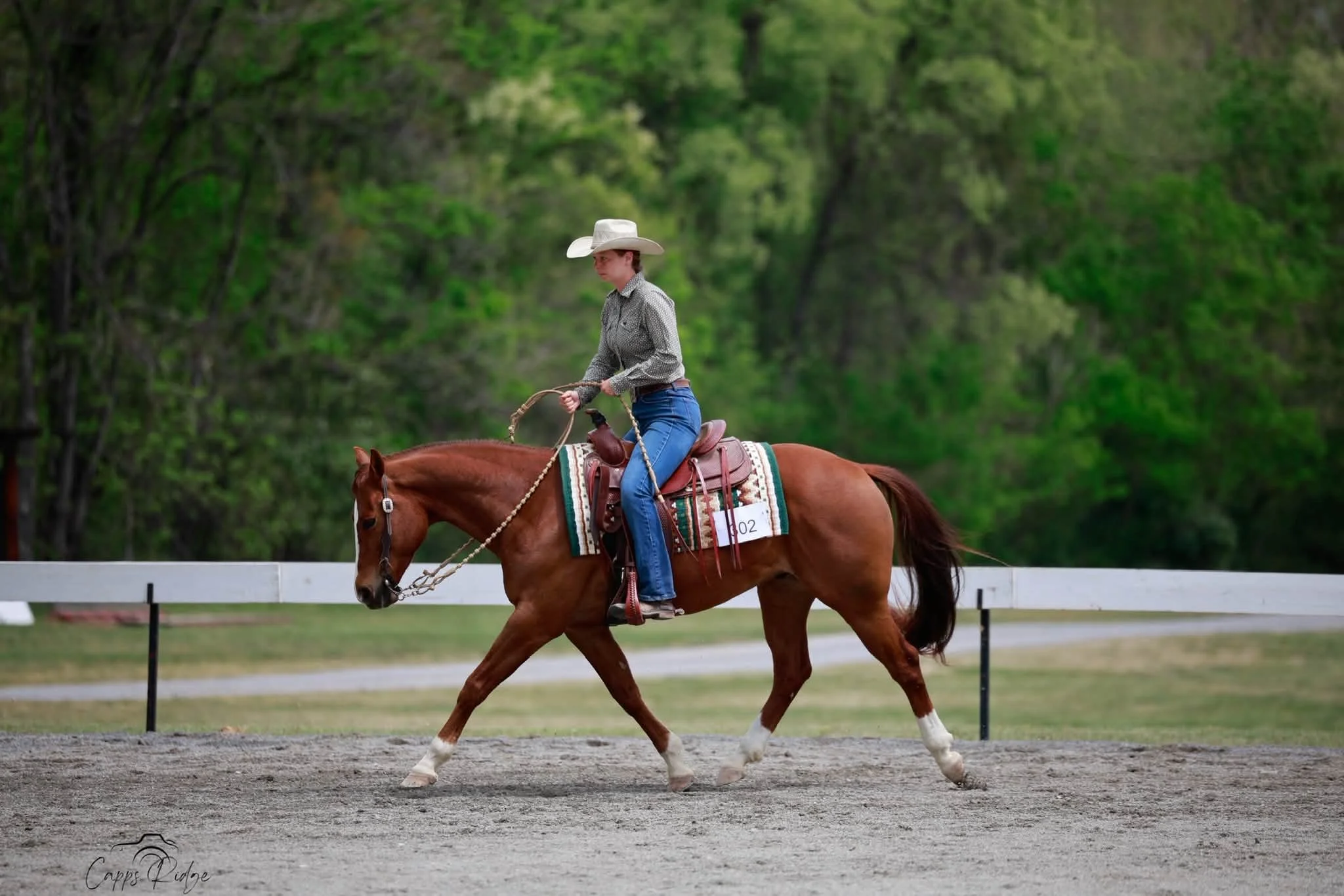 The First Star City Ranch Buckle Series Show 