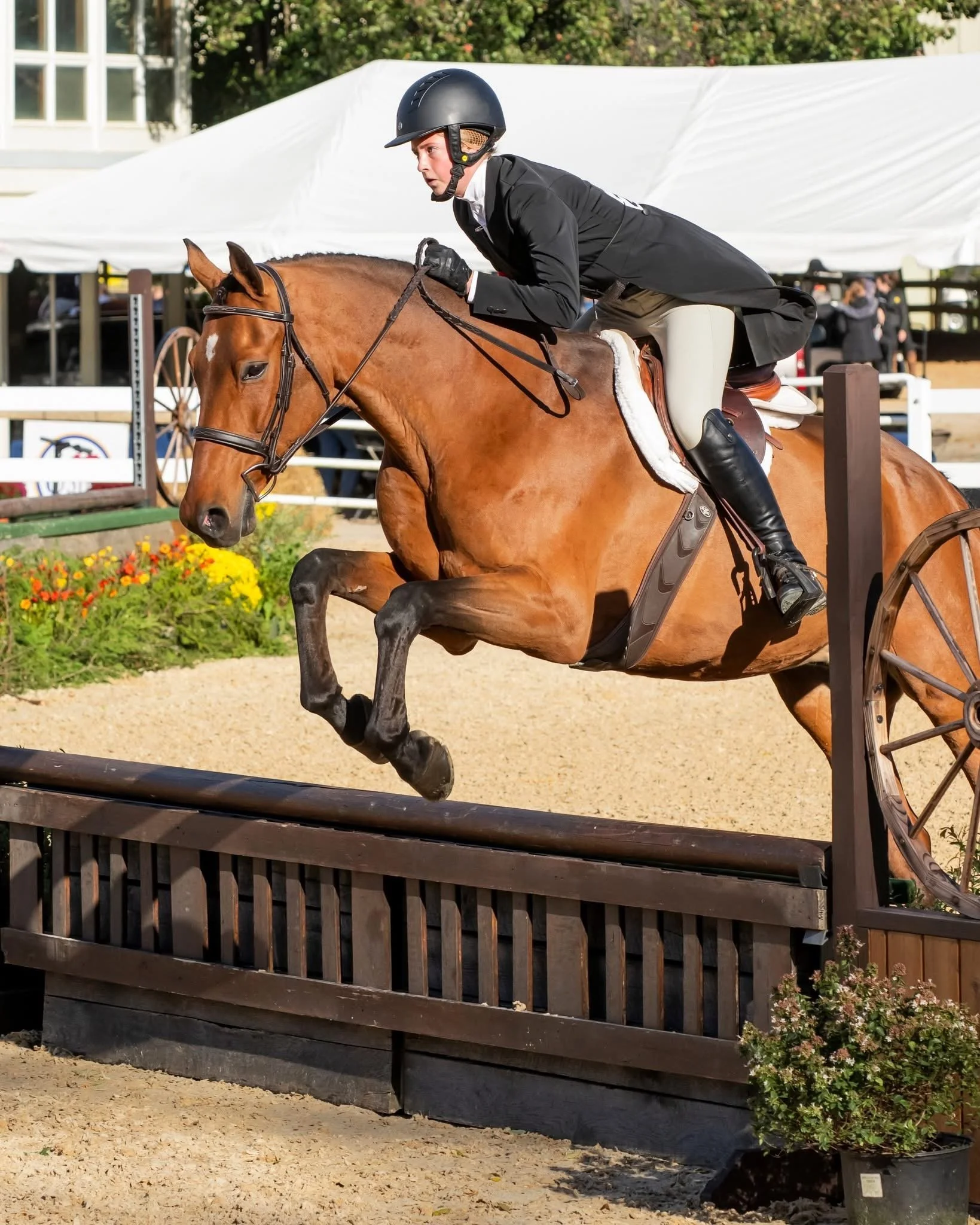 Alexis Hinds and Envy 