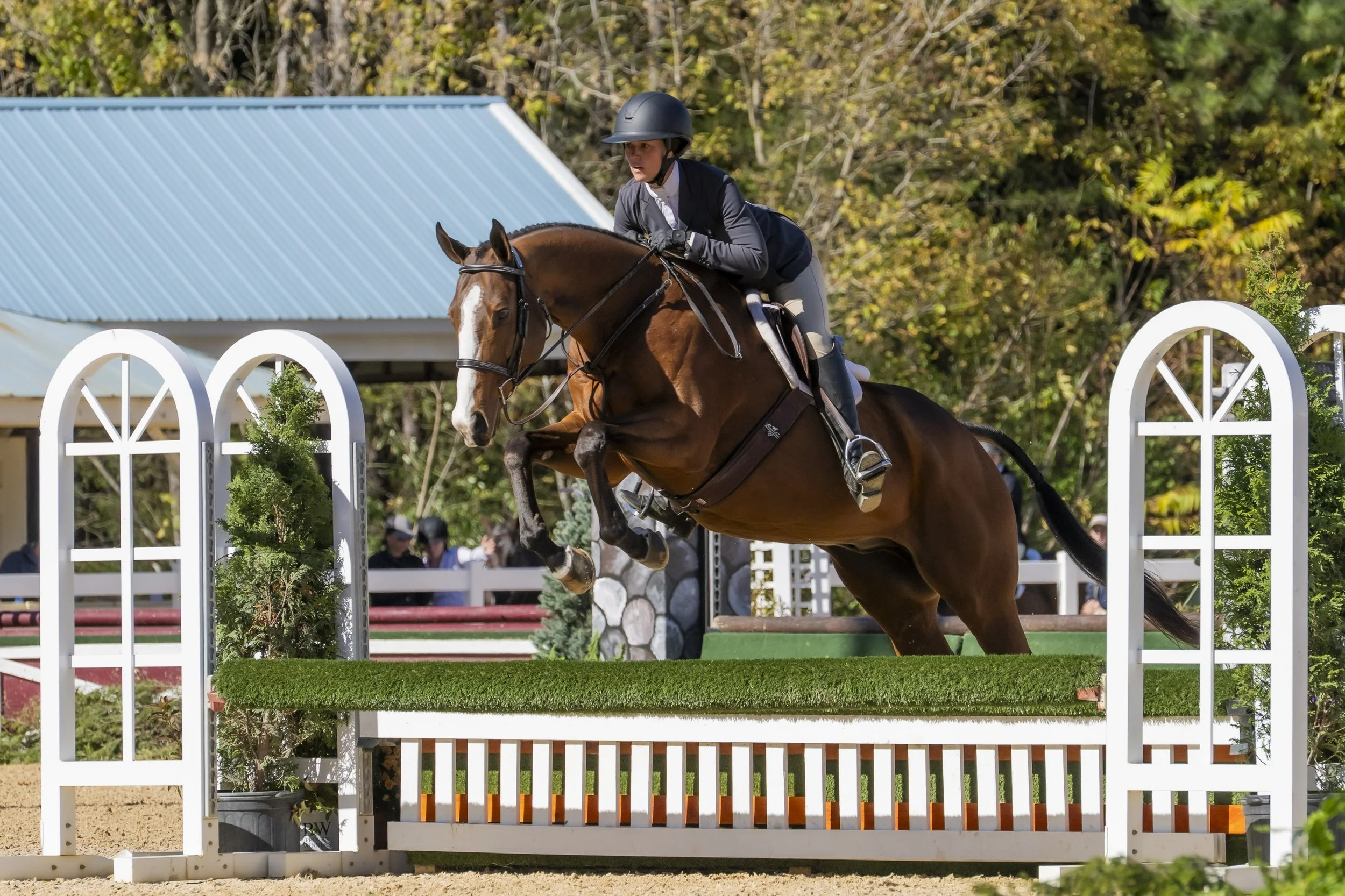 Livin' The Dream and Kayleigh 