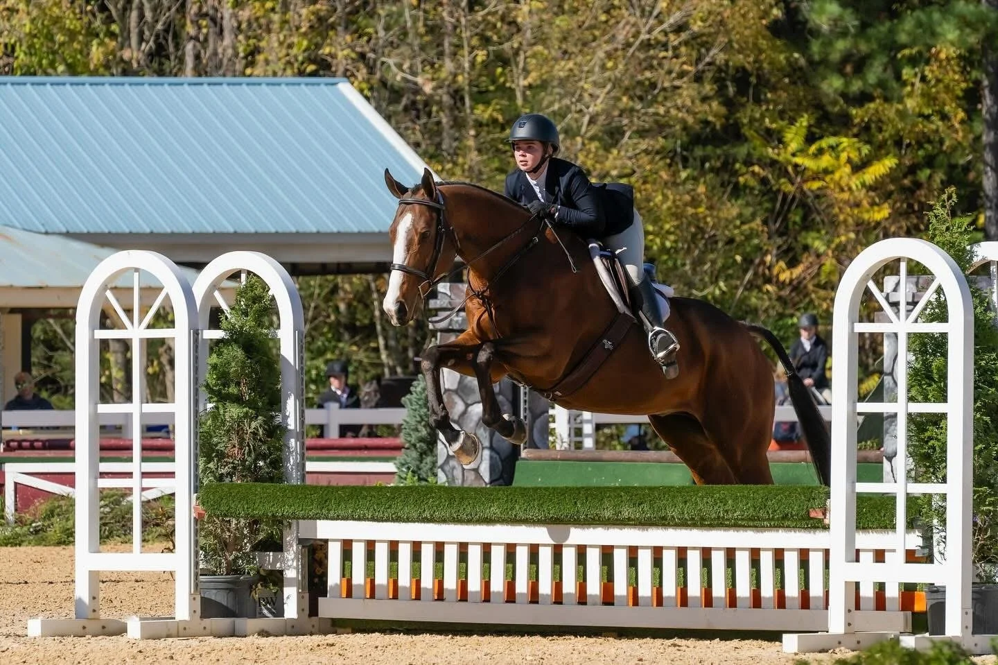 Livin' The Dream and Maysen Veitz