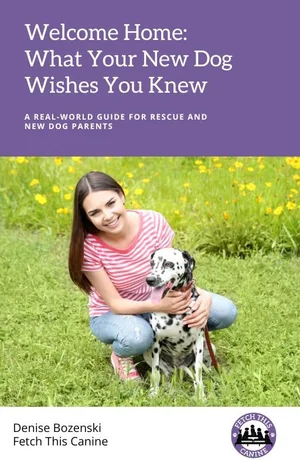 Welcome Home: What Your New Dog Wishes You Knew