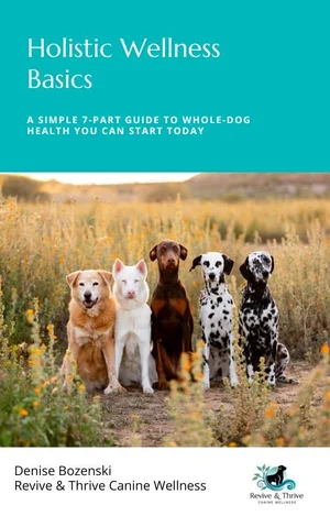 Holistic Wellness Basics