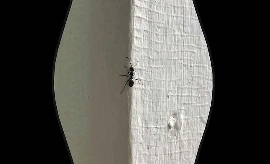 A work of art doesn’t belong in a gallery — it belongs in the quiet corners of everyday life.