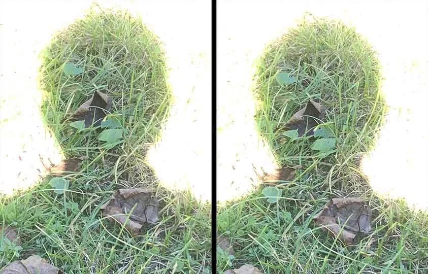 Three selected frames from the single-channel video artwork Stand Still by Le Xi, showing the artist standing motionless within a landscape as light, shadow, and breeze gradually transform the scene.
