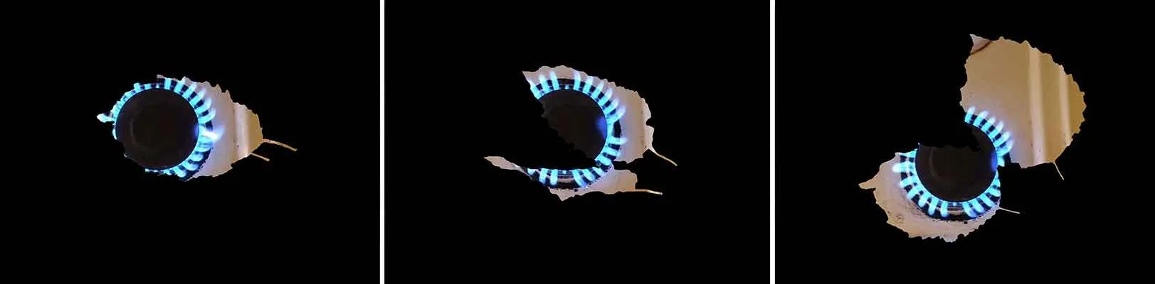 Three selected frames from the single-channel video artwork We Burn, We Shiver by Le Xi, juxtaposing the flickering movement of a flame with the trembling motion of tree leaves through layered digital imagery.