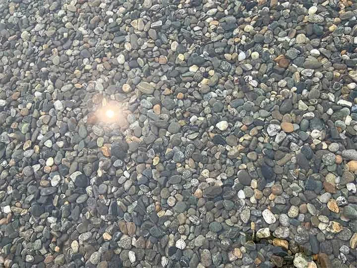 Le Xi (奚乐) standing beside a serene pond, reflecting the interplay of sunlight on water, embodying a meditative spirit in nature.
