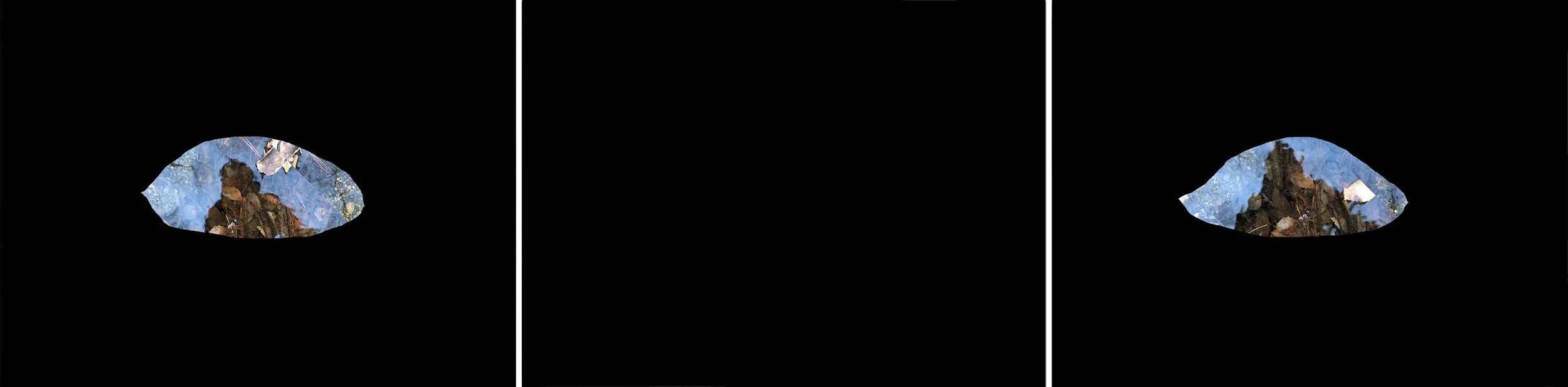 Three selected frames from the single-channel video artwork Blink by Le Xi, showing the repeated act of blinking as an exploration of bodily perception and self-awareness.