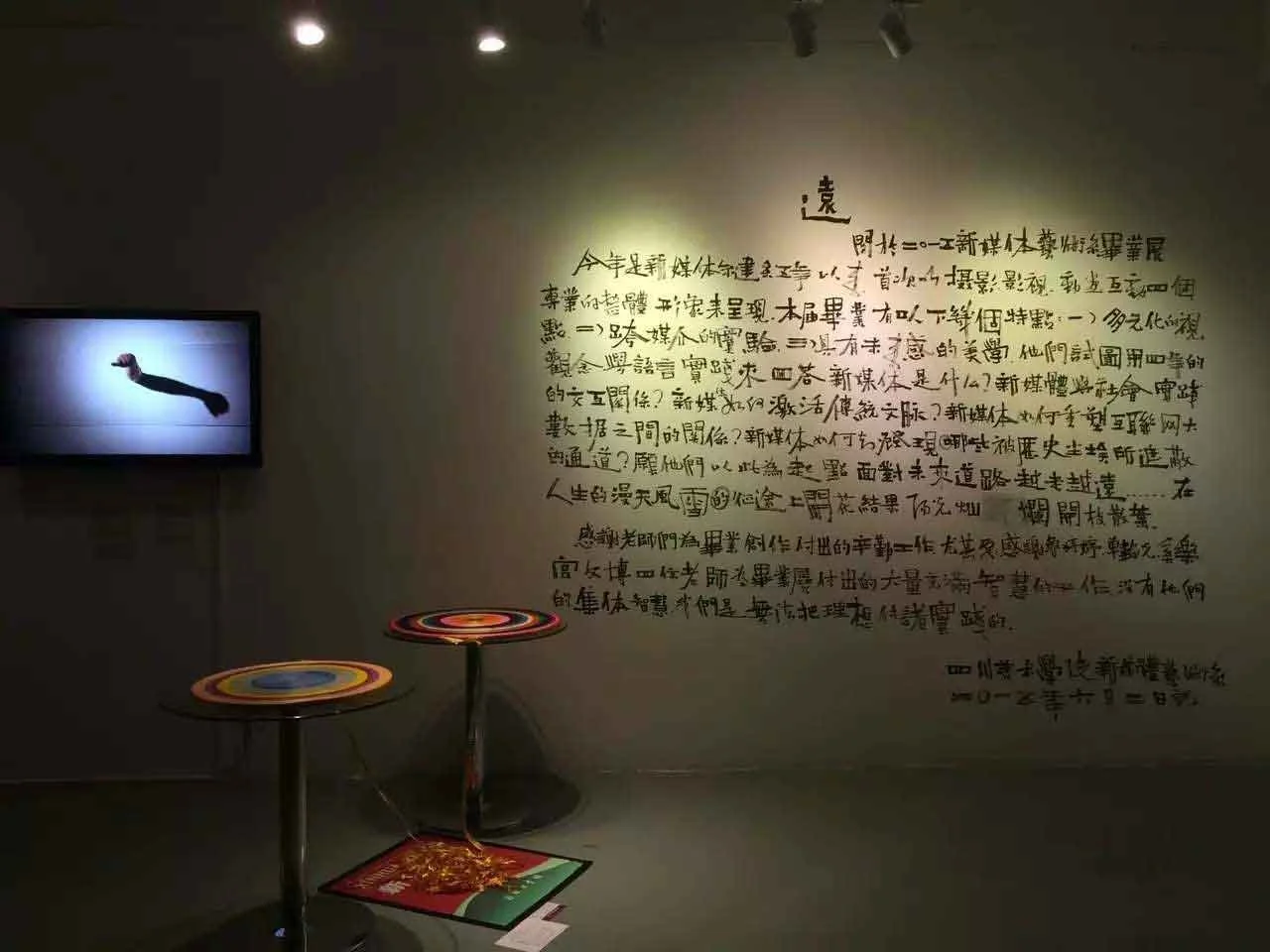 Handwritten Xinhua Dictionary on colored fabric discs, a massive conceptual installation mentored by Le Xi (奚乐) focusing on the "Mysterious Loop" theory.