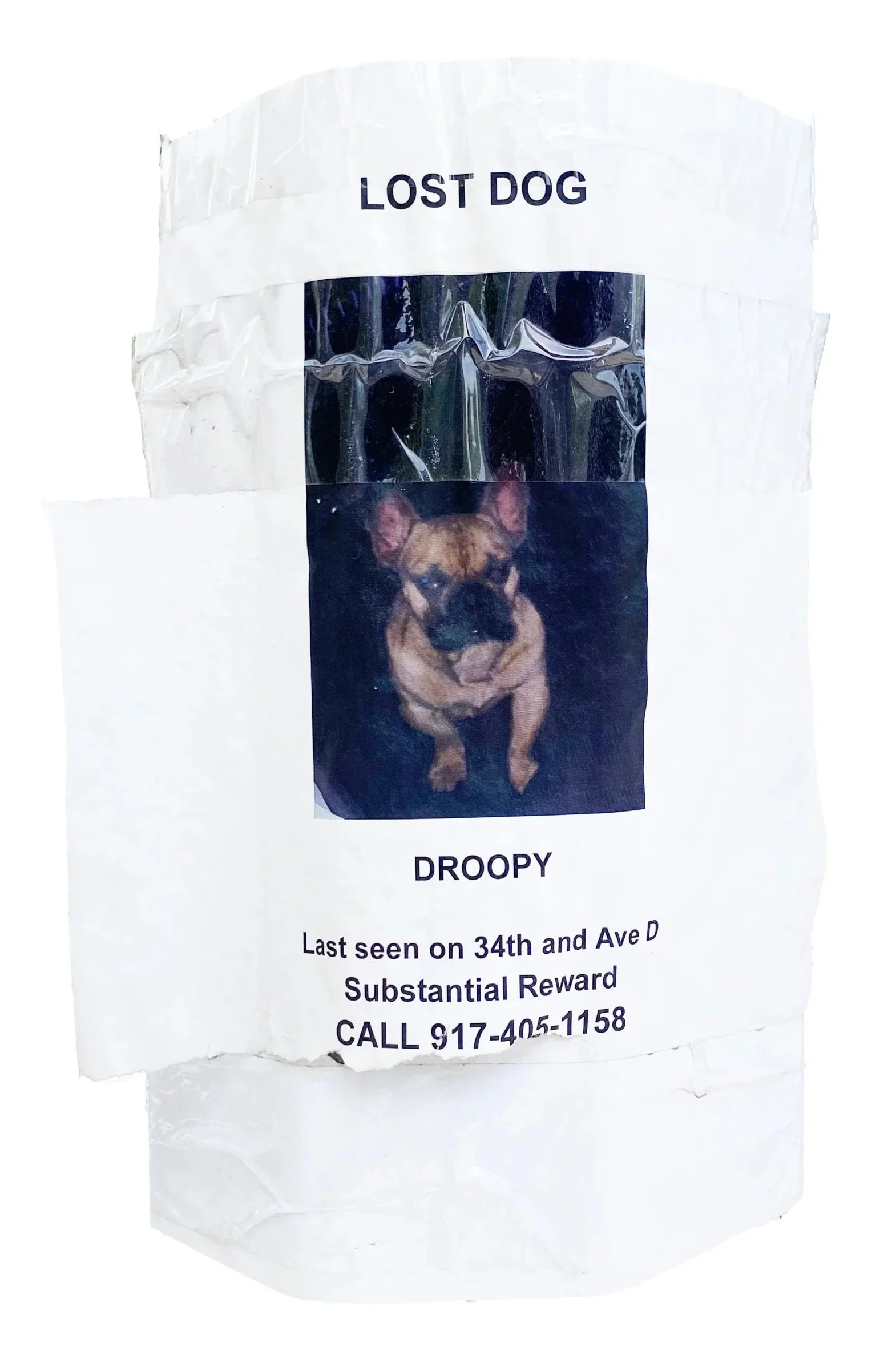 droopy.jpg