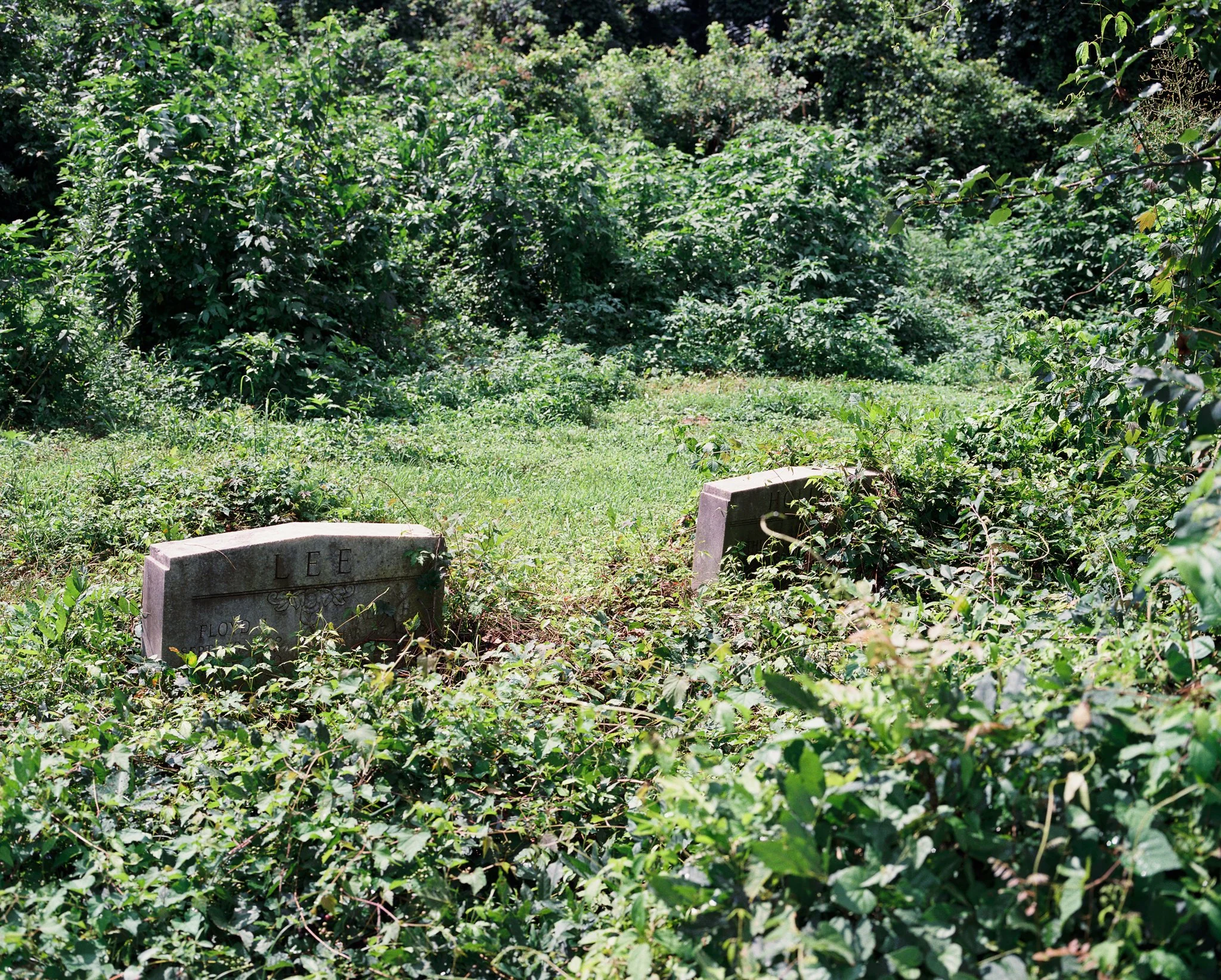 035497006894-R1-E010-2.jpg