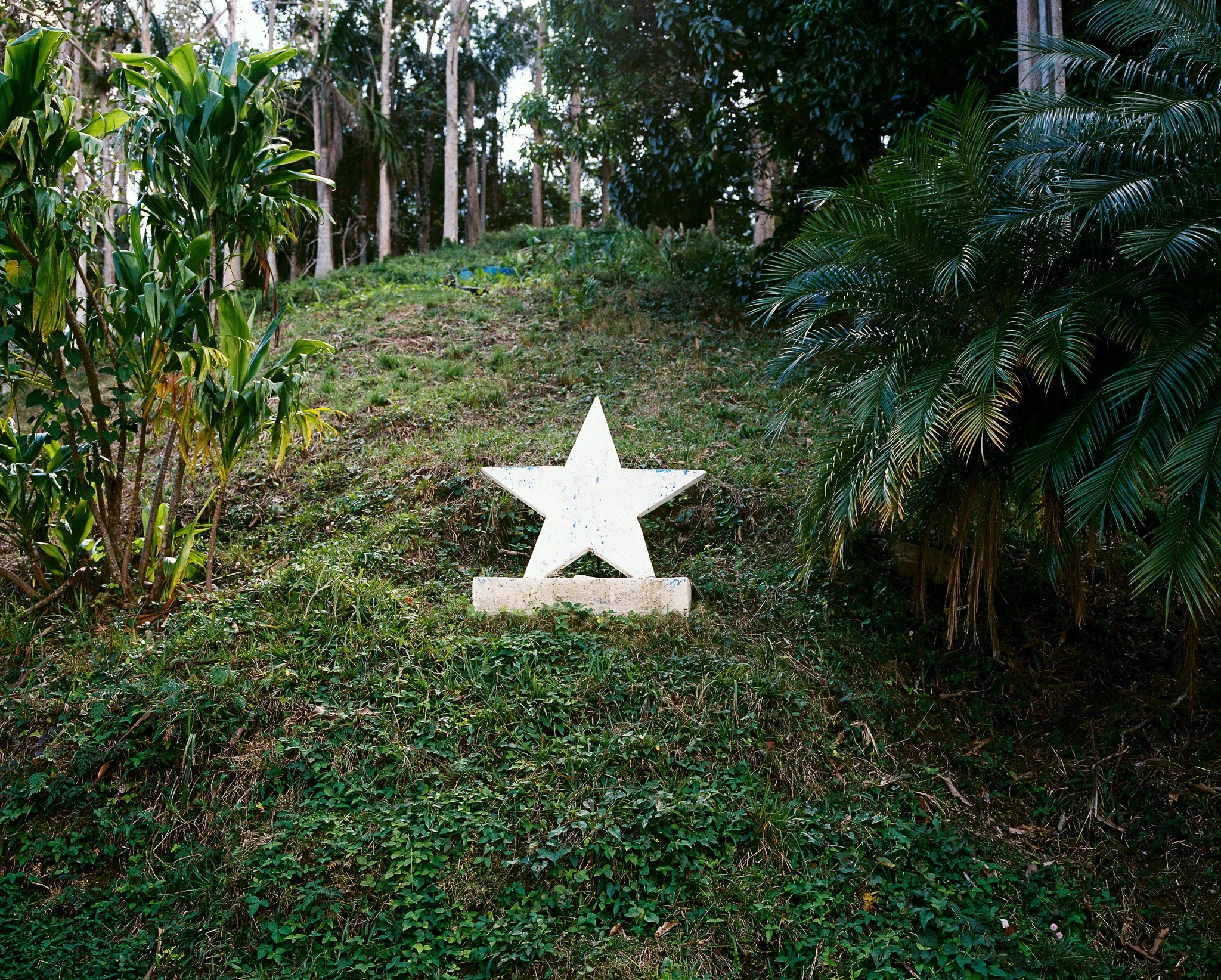 star.jpg