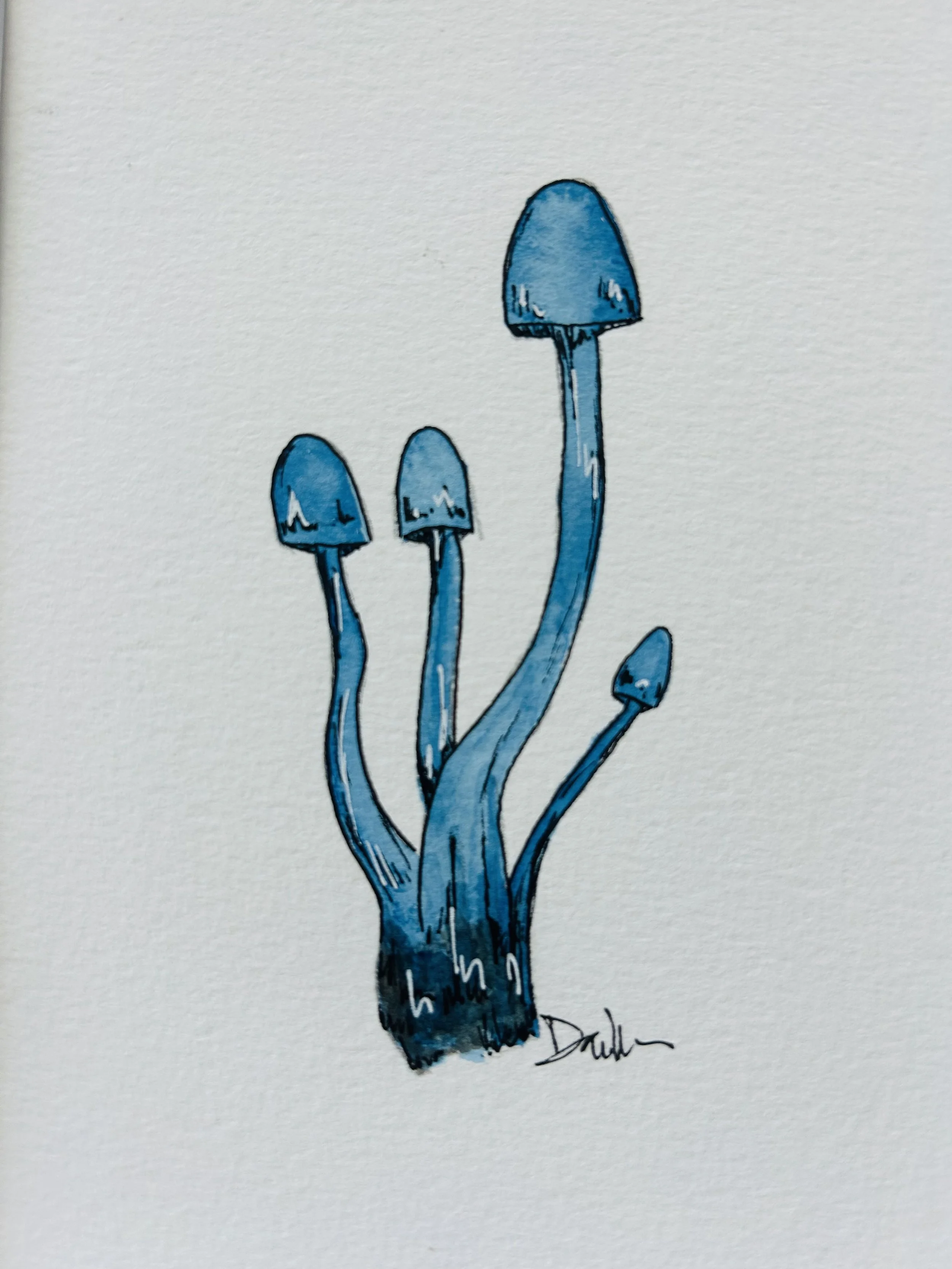 Midnight Mushie Waltz