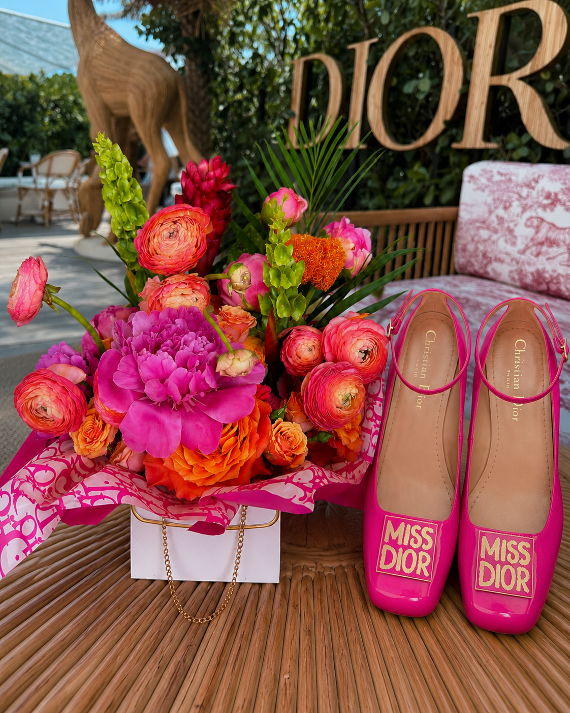 DIOR 4.png