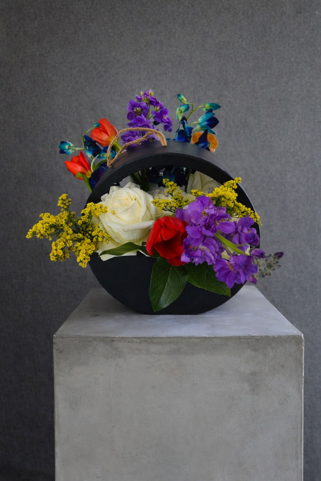 ChatGPT Image Mar 4, 2026, 11_57_42 AM.png