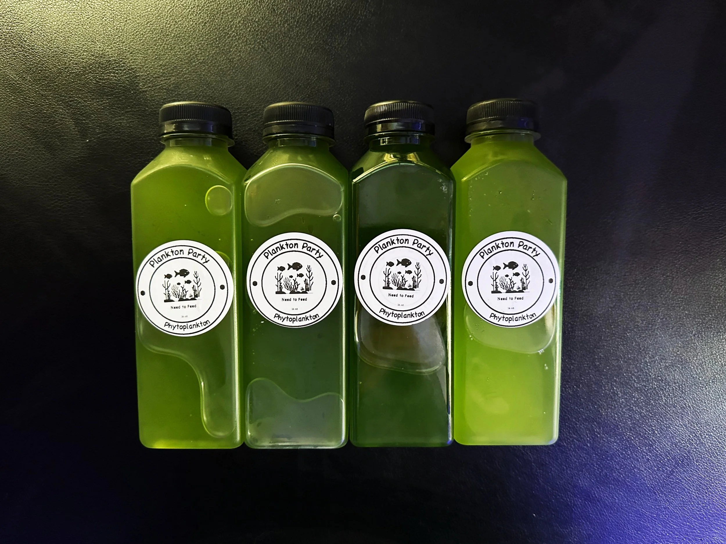 Phytoplankton - 64oz