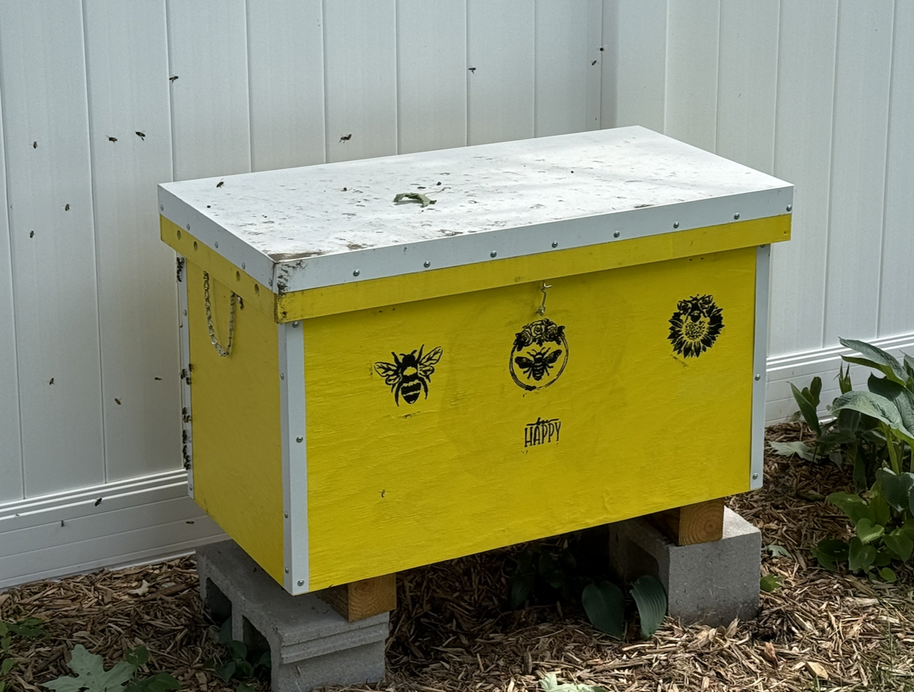 Layens Horizontal Hive - Natural Bee Keeping Hive