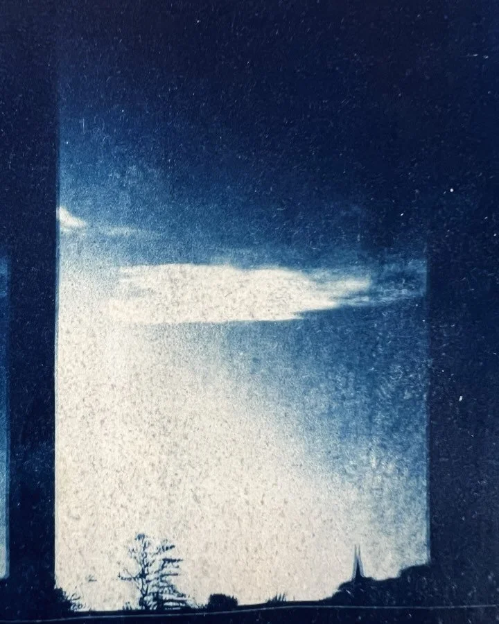 :) 

cyanotype and 35mm timelapse on 1&amp;2, test works for a new body of work maybe 

&amp; some other nice autumn things