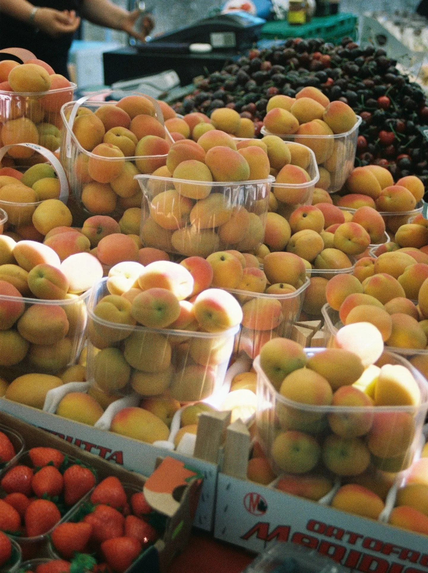 summer fruits 
(+trees,jam&amp;pastries)
