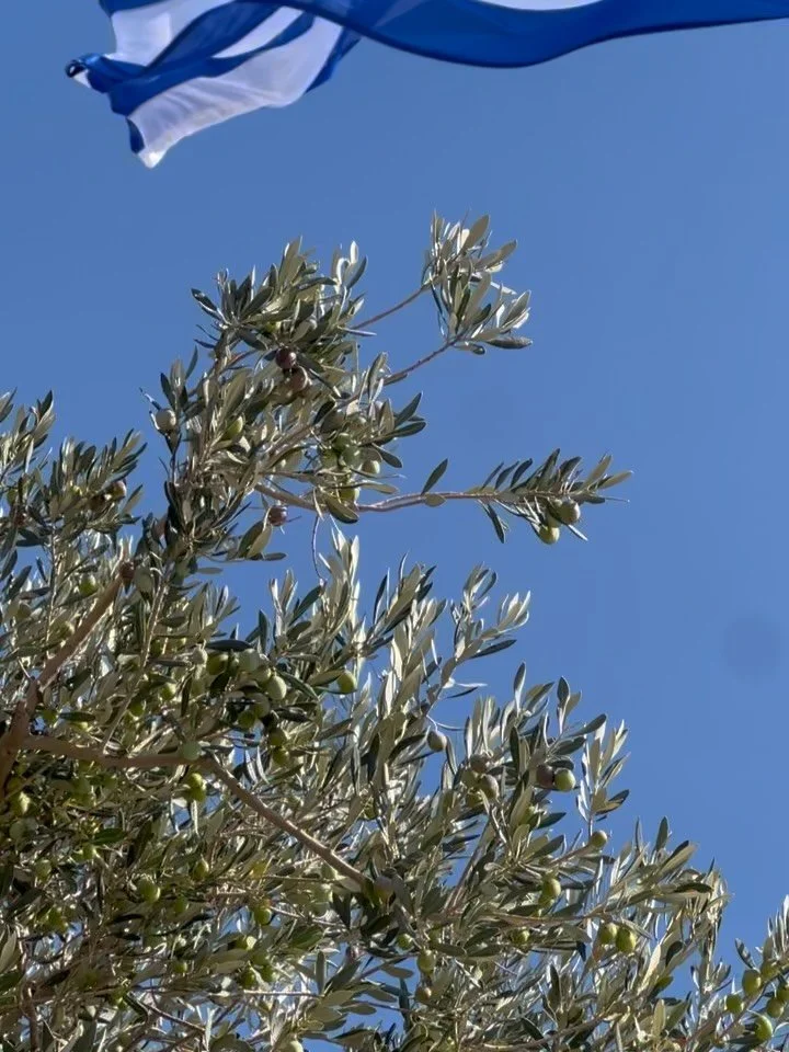 went back to school :))