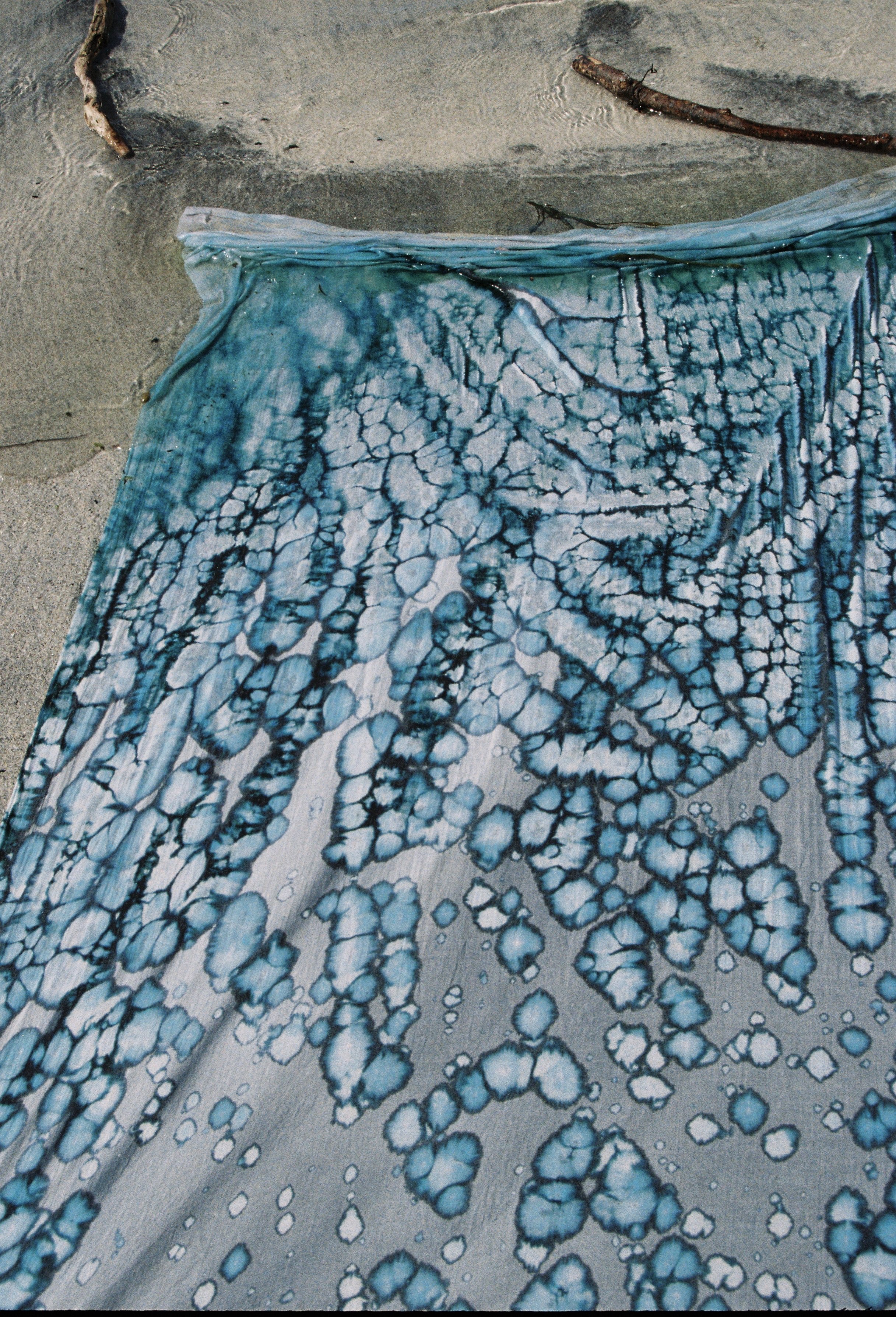 IMG_6456.jpg