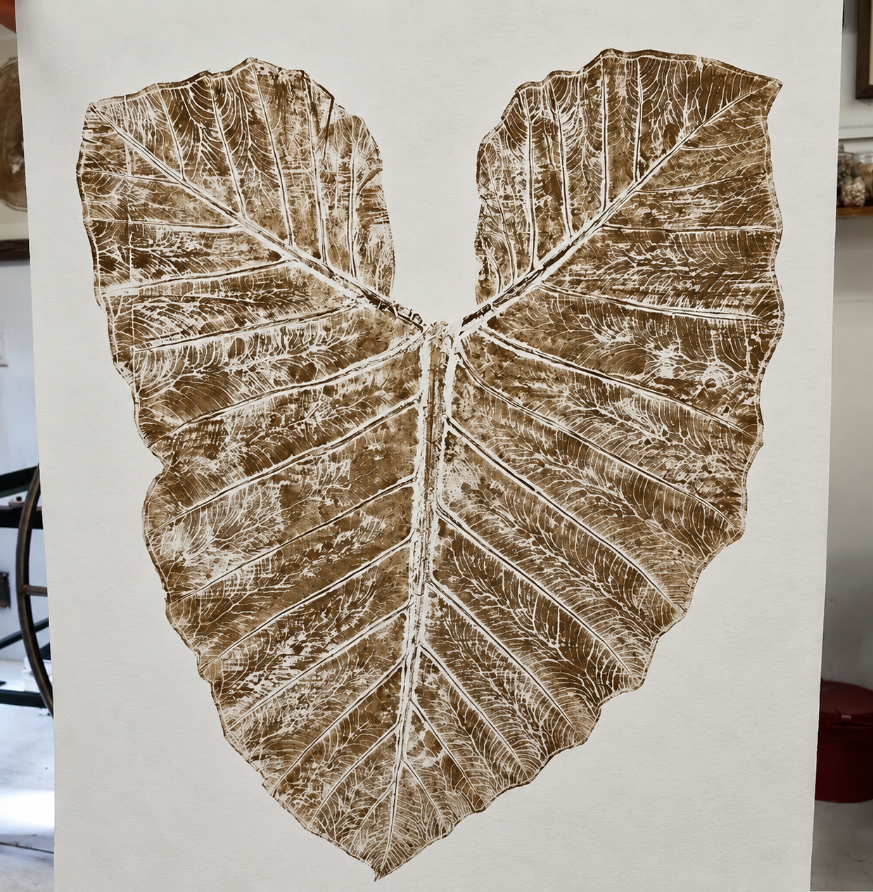 Original | XL Elephant Ear