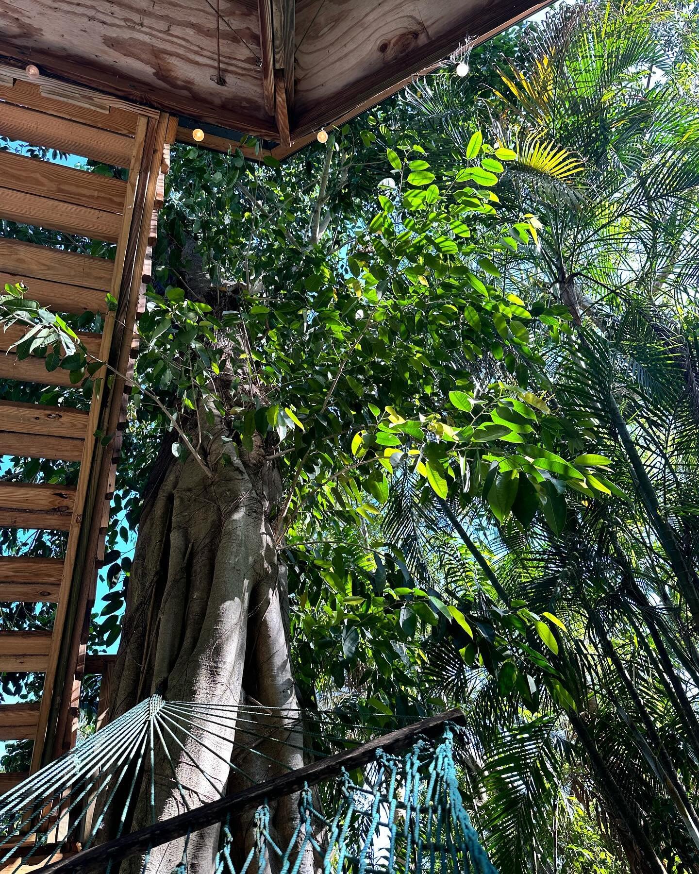 Green-escape on this beautiful weekend!