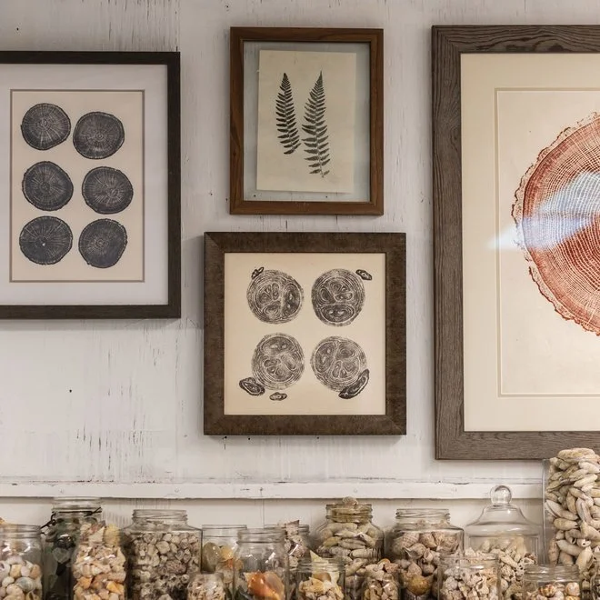 naples liberty treehouse inside shelf and pictured art.jpg