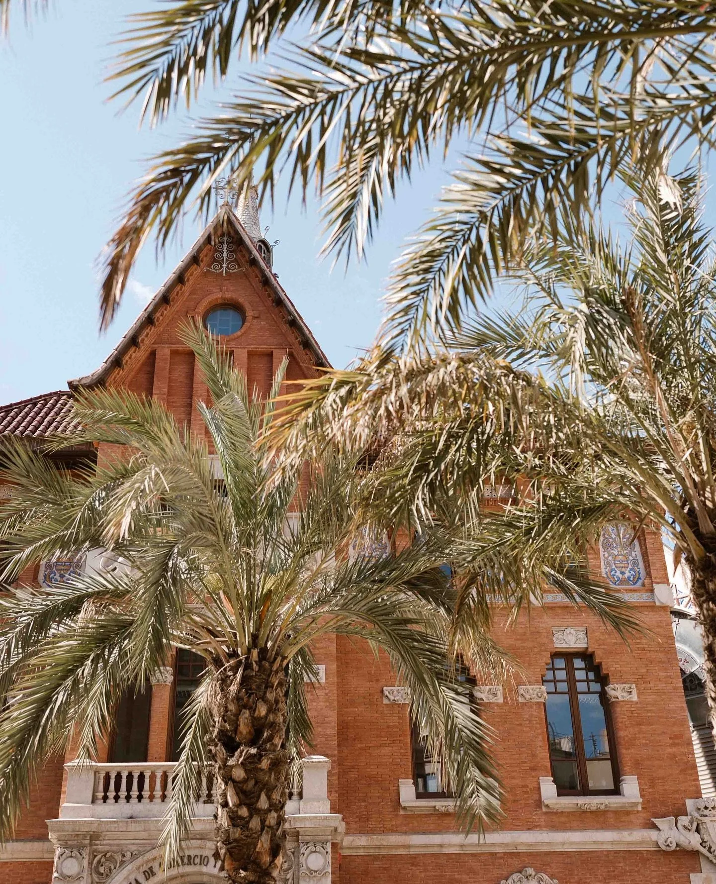 Nog zo&rsquo;n fijn plaatje uit het mooie Valencia ✨