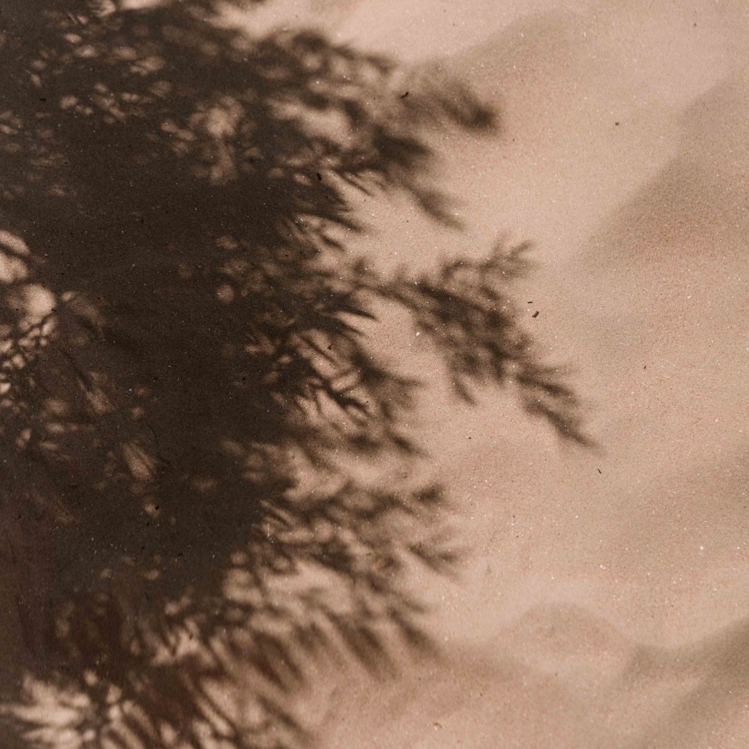 Betekenisvol fotograferen. Dat is misschien wel de omschrijving die het beste past bij wat ik graag doe.

Het vastleggen van iets dat betekenis heeft. Voor iemand persoonlijk, voor een ondernemer, een organisatie of een bedrijf dat zich inzet voor ee