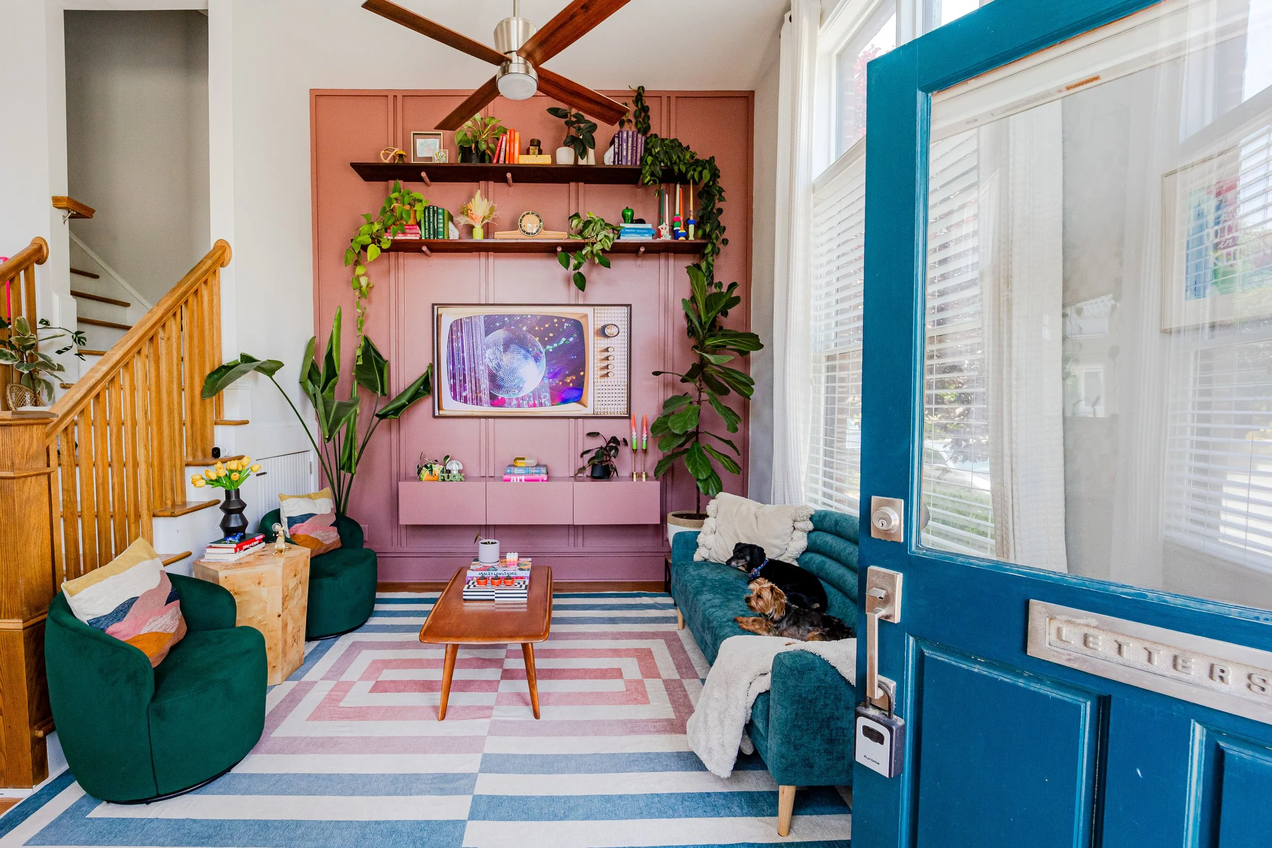 A colorful living room with a blue front door, green velvet chairs, a pink entertainment wall, a wooden coffee table, and twin dogs lying on a teal sofa. The room features striped rug, wall shelves with plants and decorations, and large windows with white curtains.