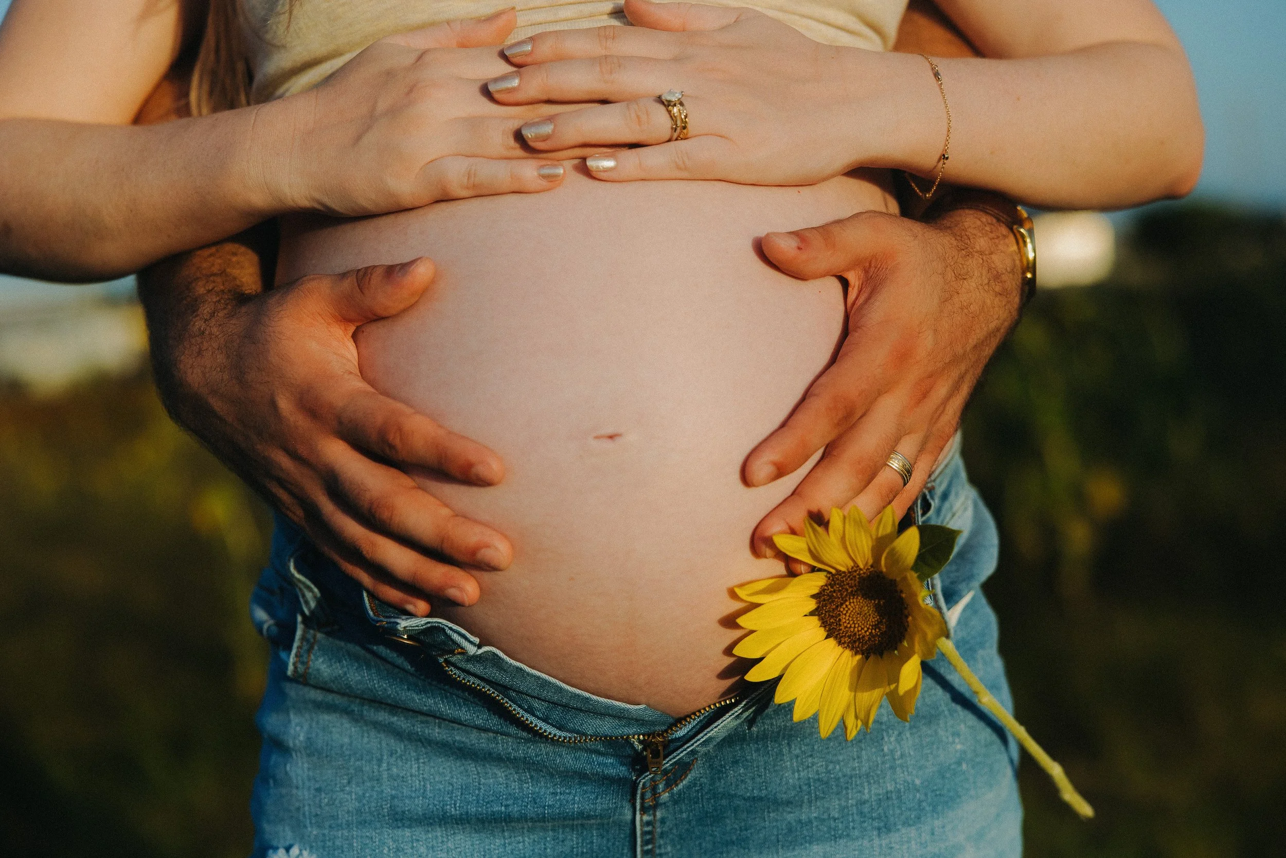 Raleigh maternity photographer