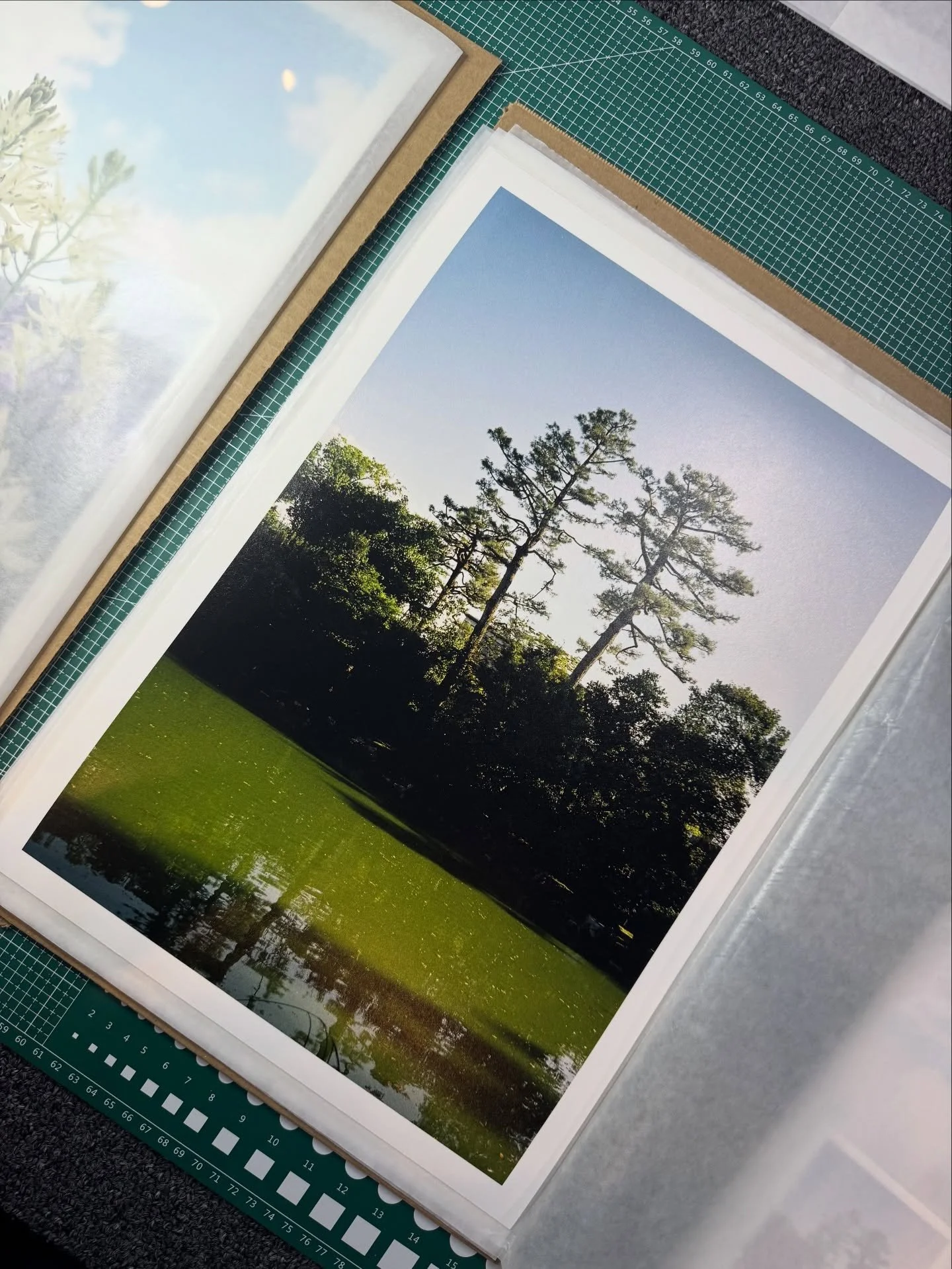 Proceso 🌀🌀🌀