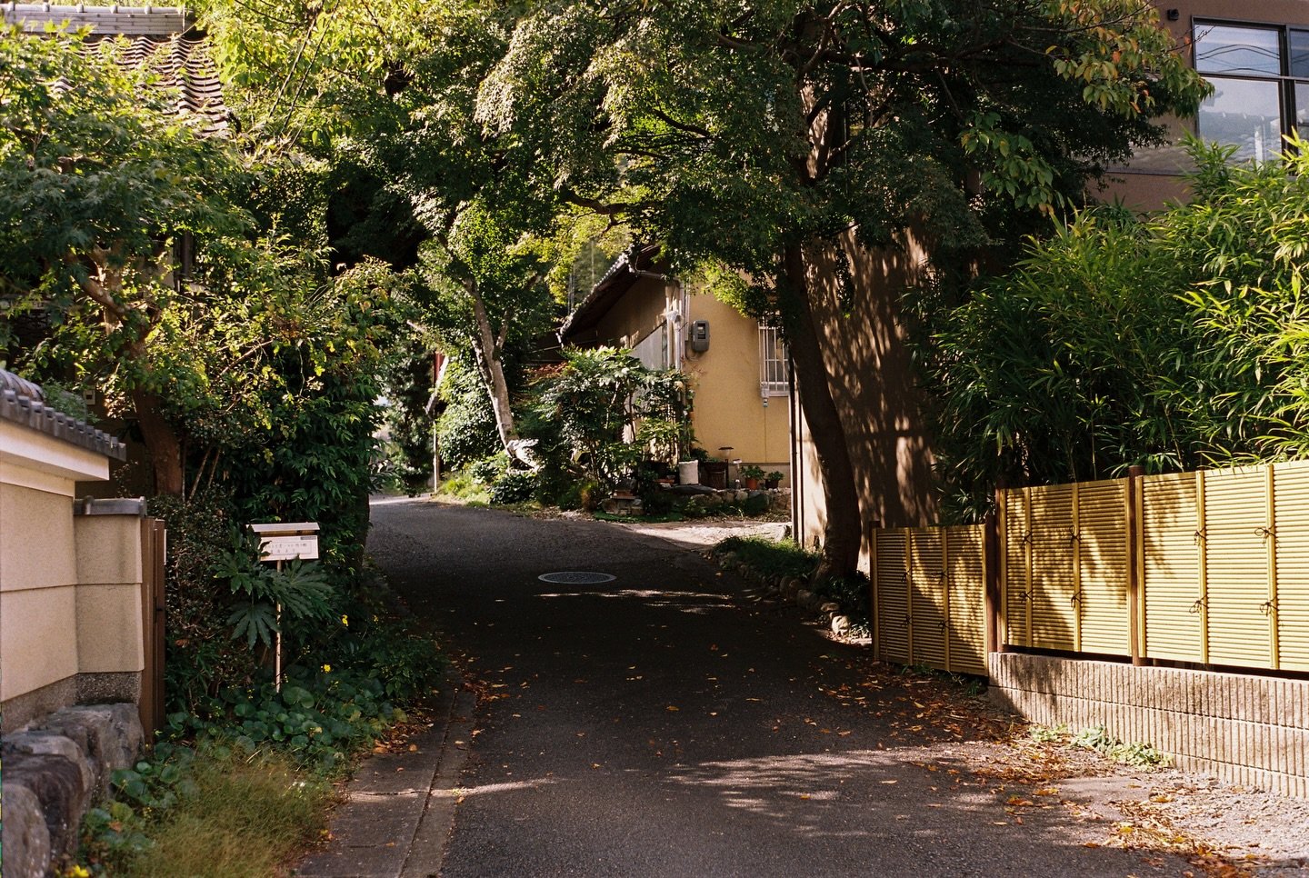 Postales de Kioto 🌳🎞️ Vol. 4